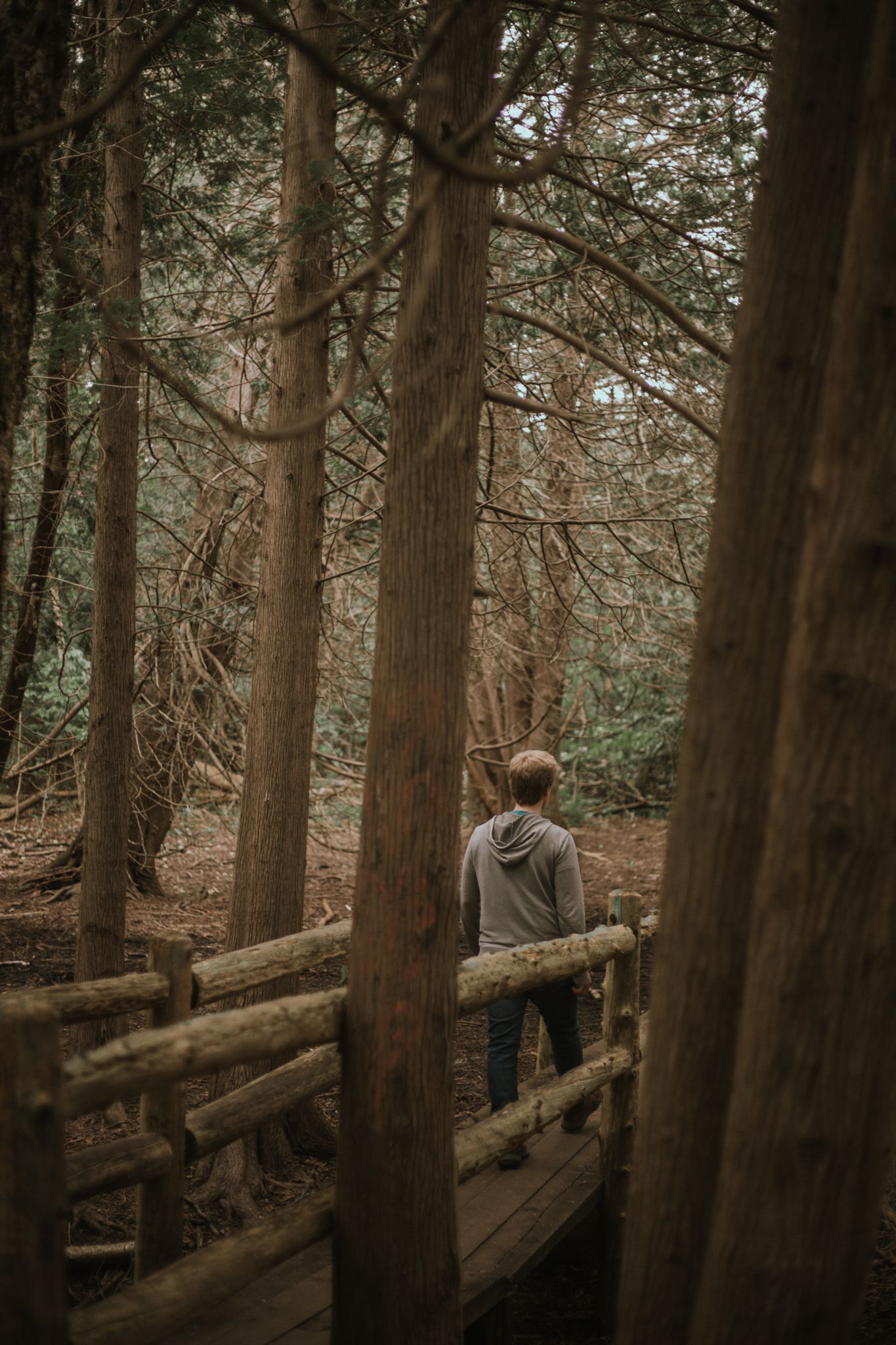 Personal photography