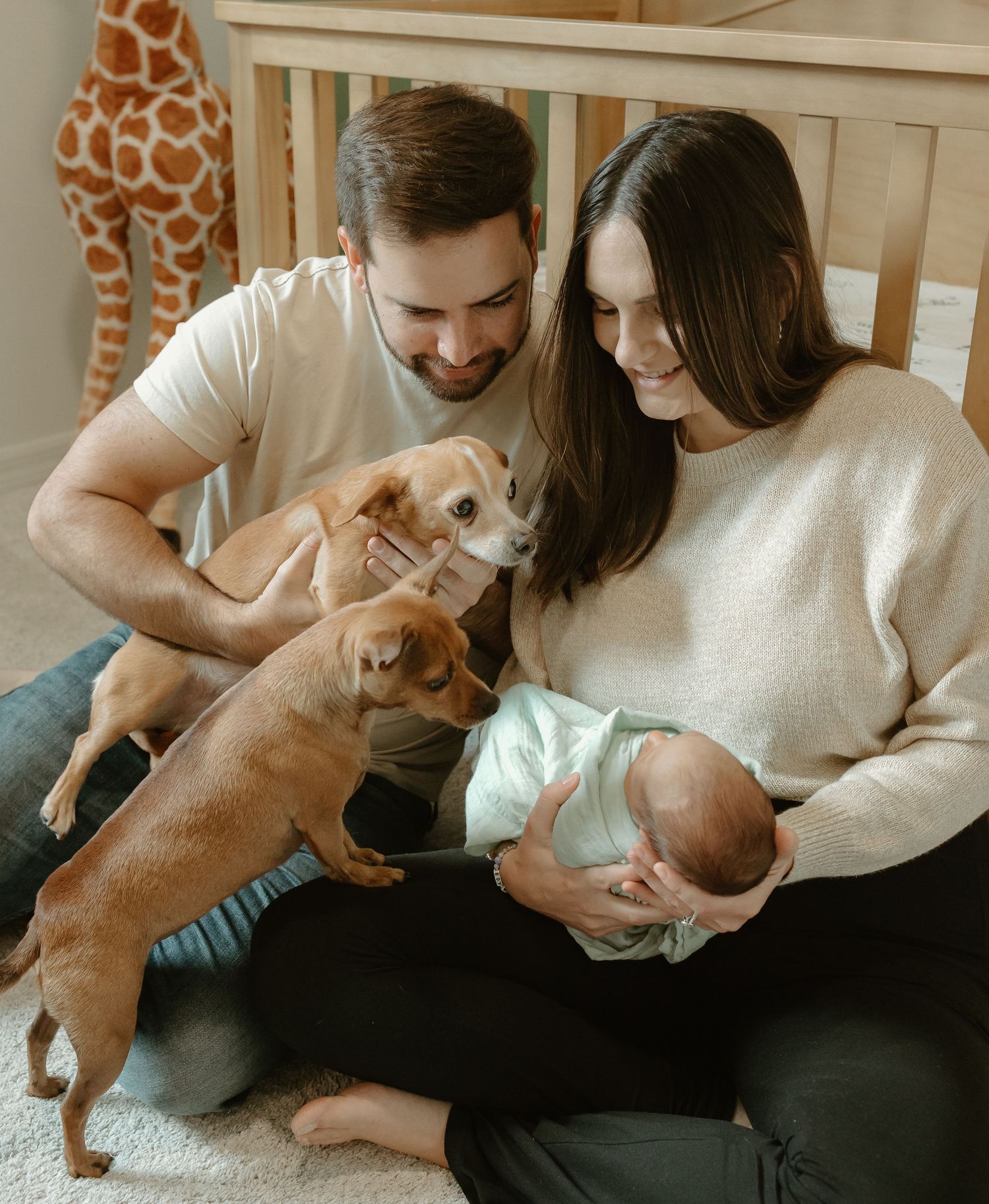 A family sharing tender moments with their newborn baby while their small dog watches.