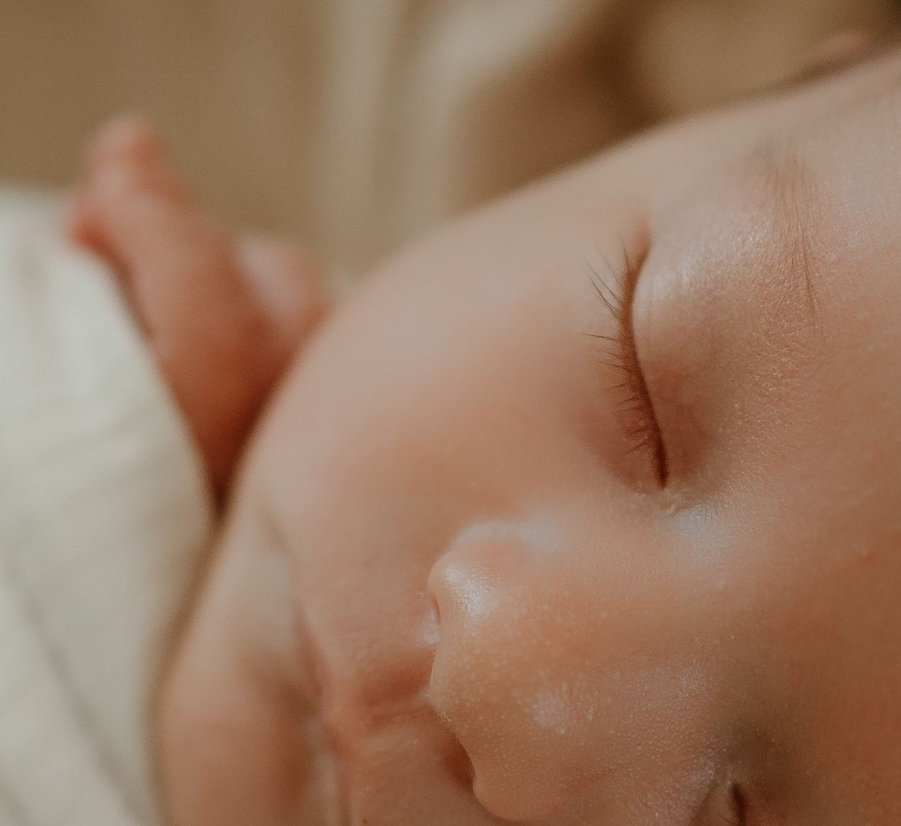 Peaceful sleeping newborn close up portrait in soft natural light.
