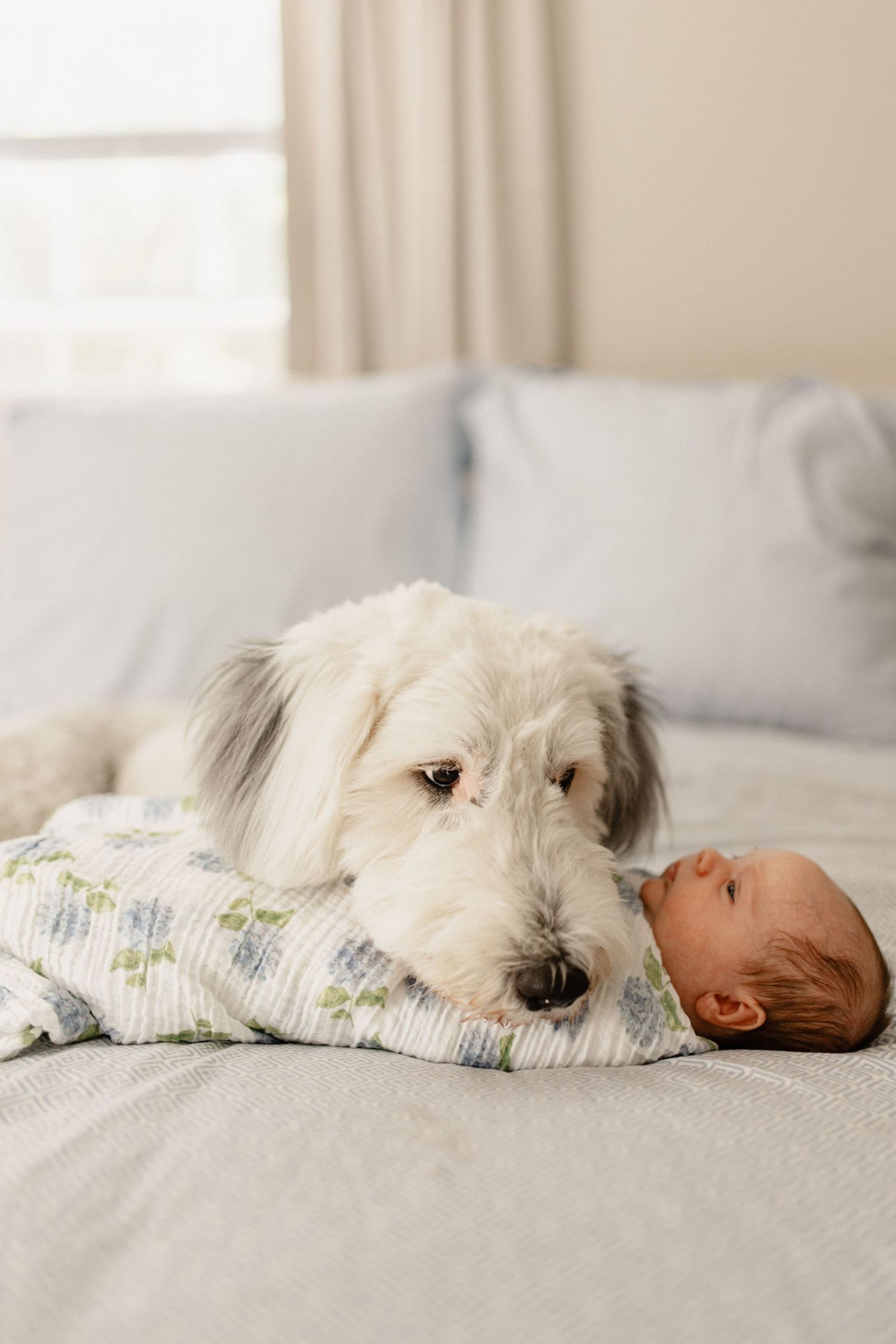 A fluffy white dog lying protectively next to a sleeping baby on a cozy bed.