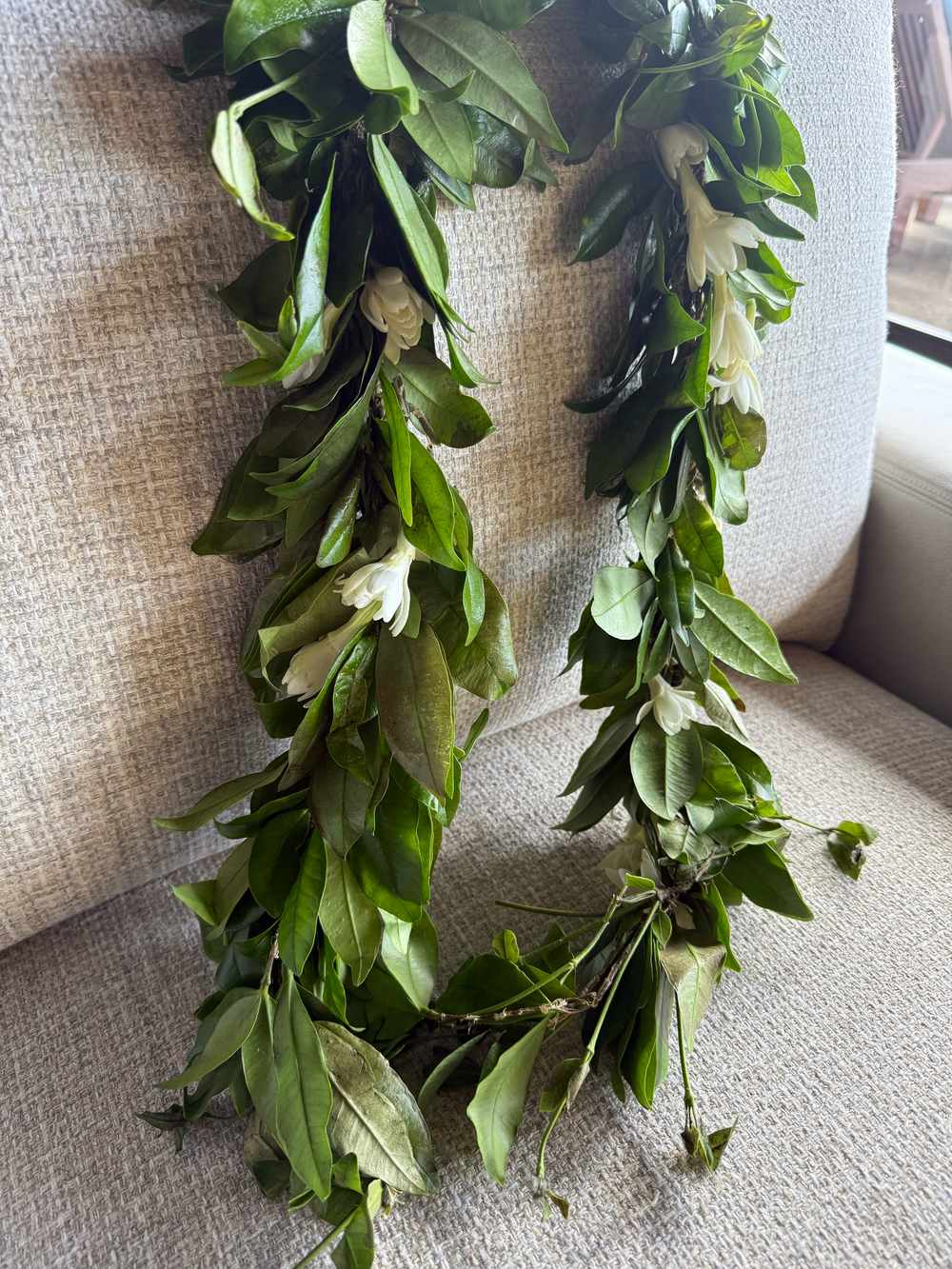 A traditional green maile lei made of fresh leaves rests on a beige couch cushion near a window.