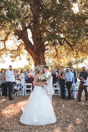 Bride and groom share first kiss under a large oak tree surrounded by applauding guests at an outdoor wedding ceremony.