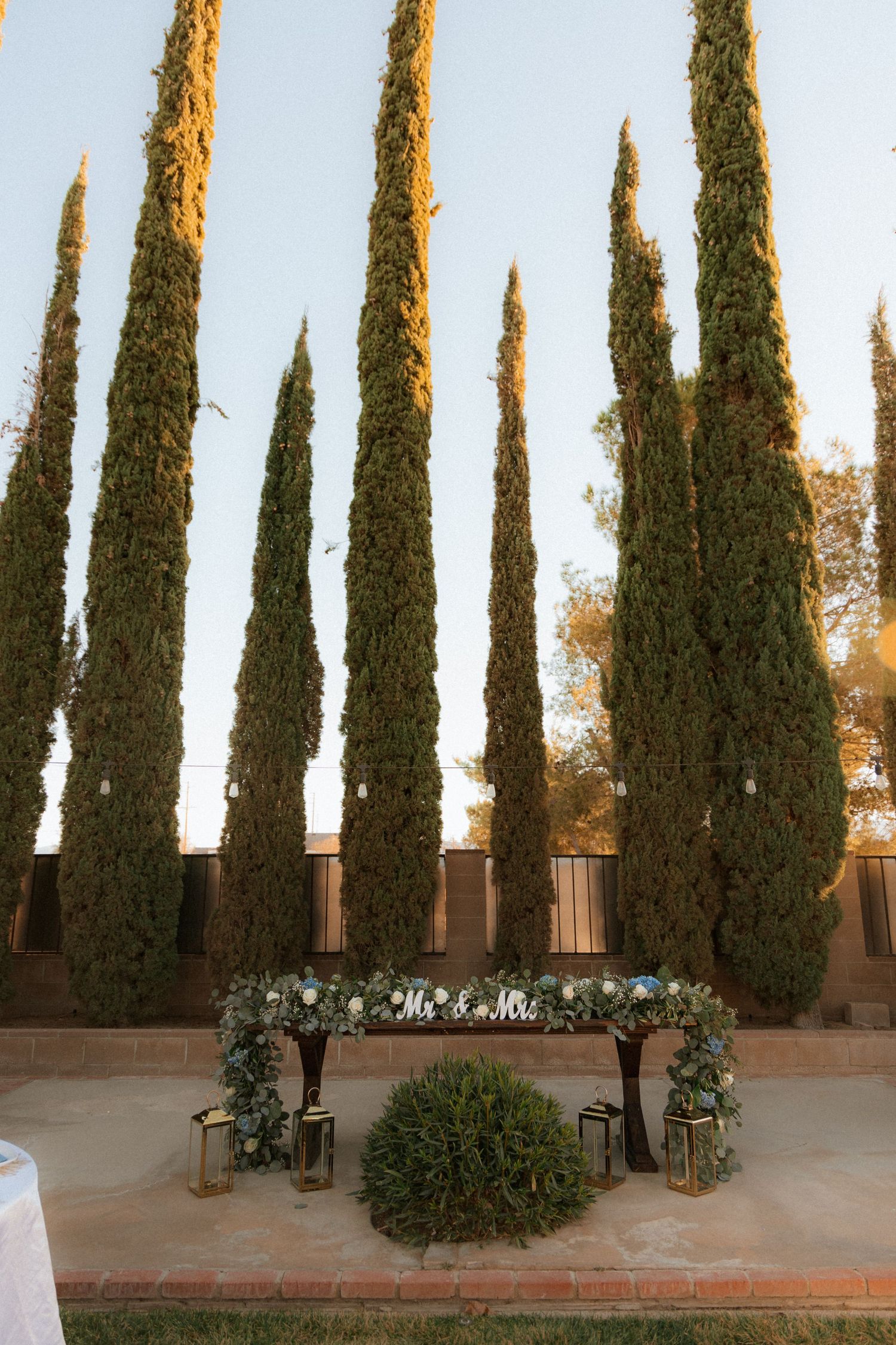 Decorative wedding arch adorned with white flowers and greenery set against tall cypress trees at sunset.