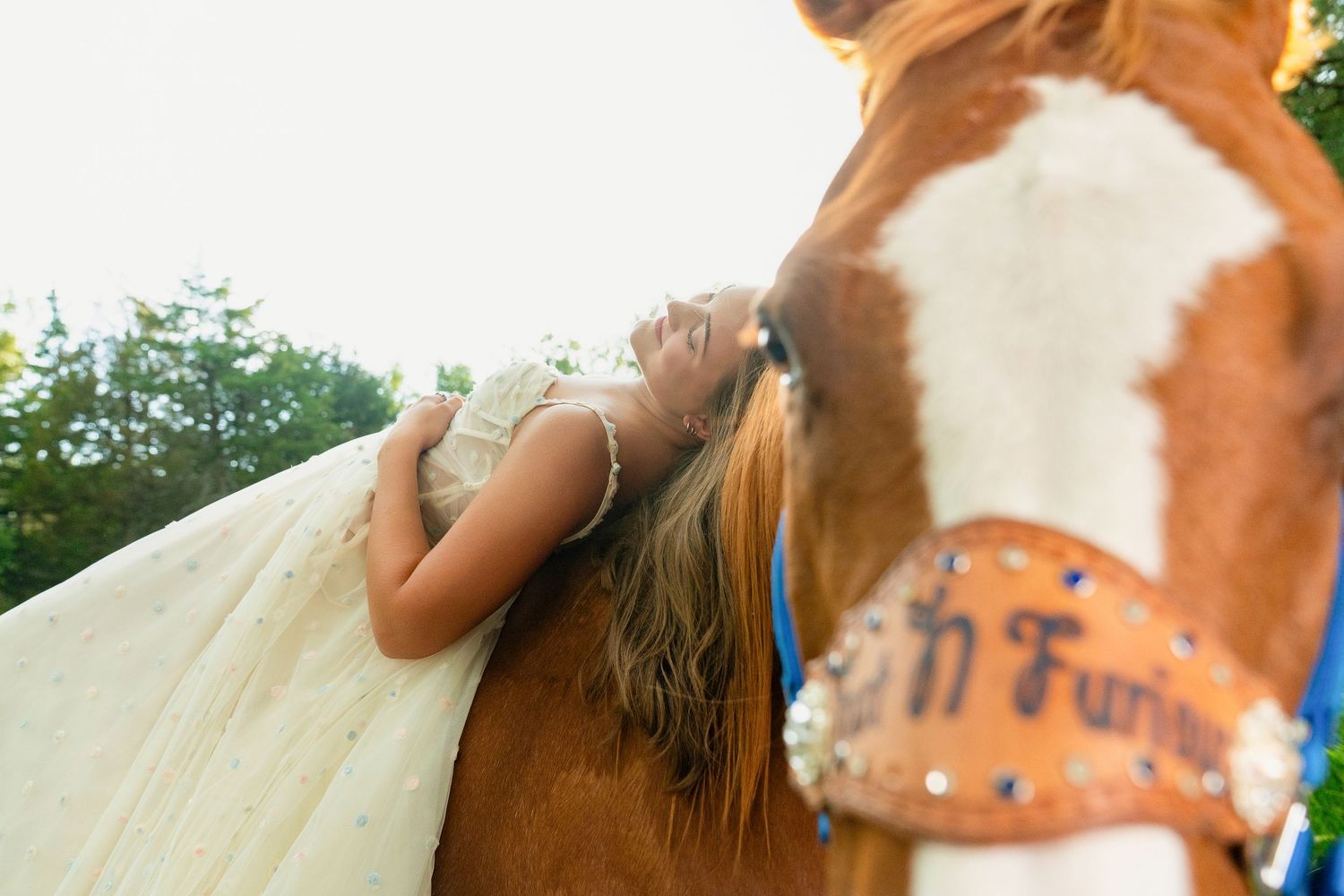 Close-up view of a chestnut horse with white facial markings showing affection to someone's hand.