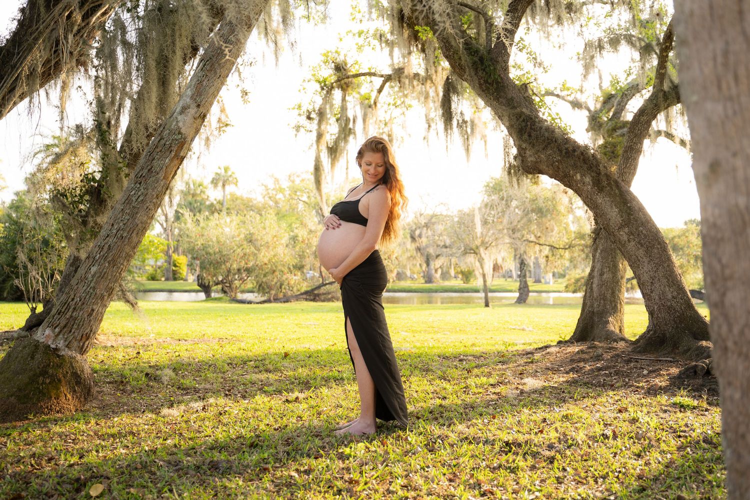 Pregnant woman in black dress cradling baby bump outdoors under Spanish moss-draped oak tree in golden sunlight.