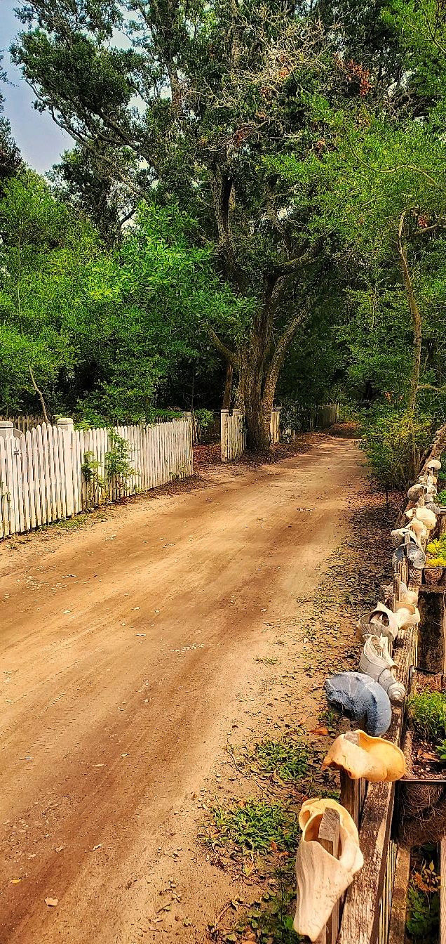 Dirt path lined with white picket fence and trees leads through rustic countryside.