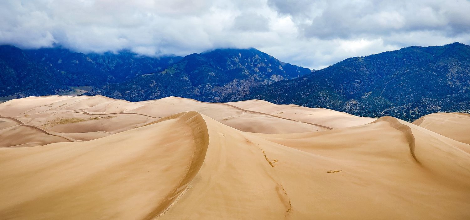 Sweeping sand dunes with rippled patterns against distant blue mountains.
