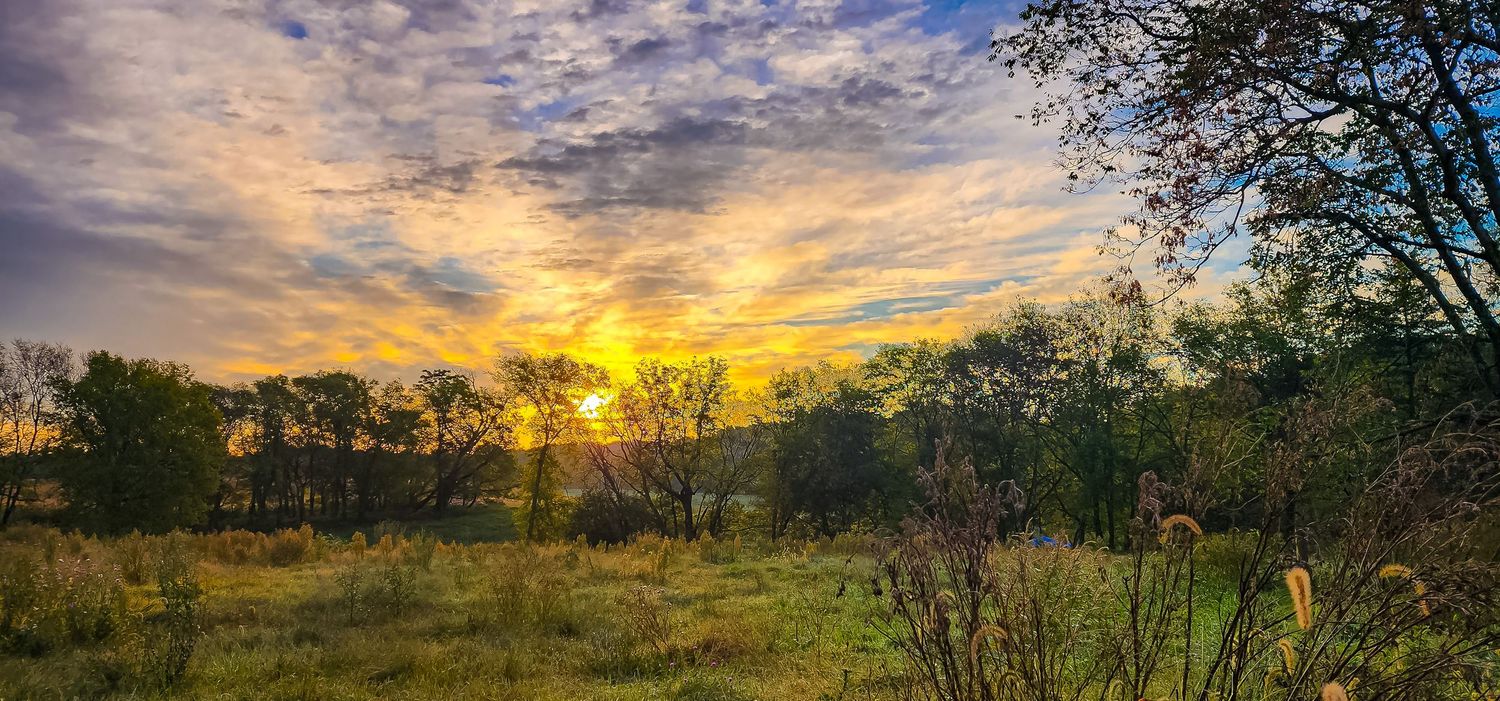 Golden sunrise over misty meadow with silhouetted trees and cloudy sky.