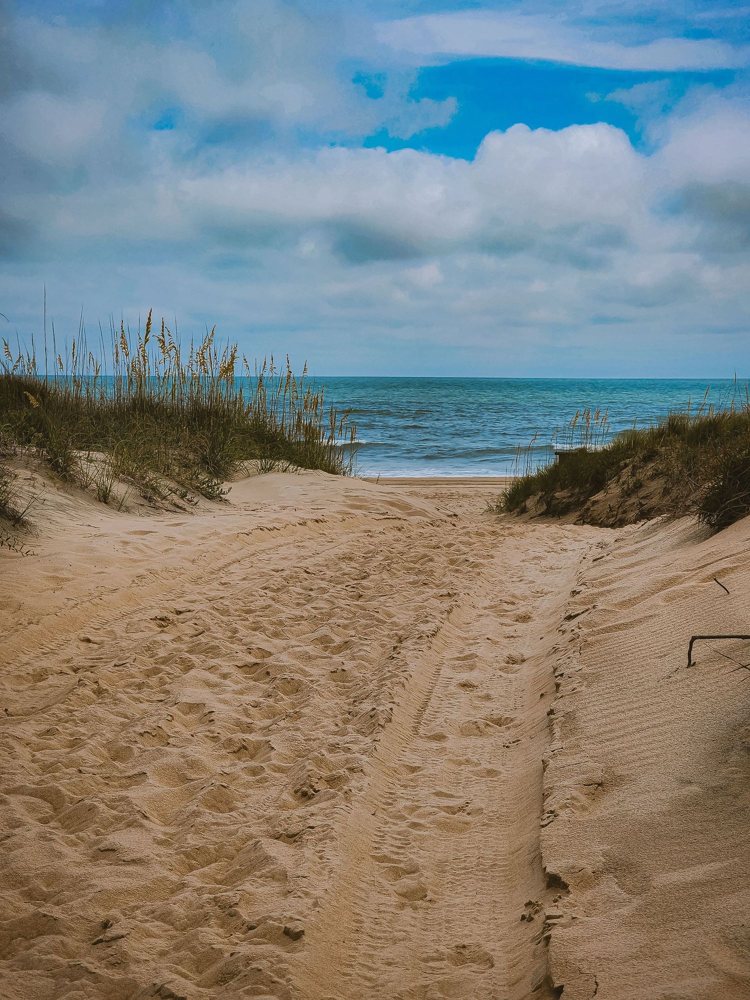 Sandy path through dunes and sea oats leading to ocean view on cloudy day.