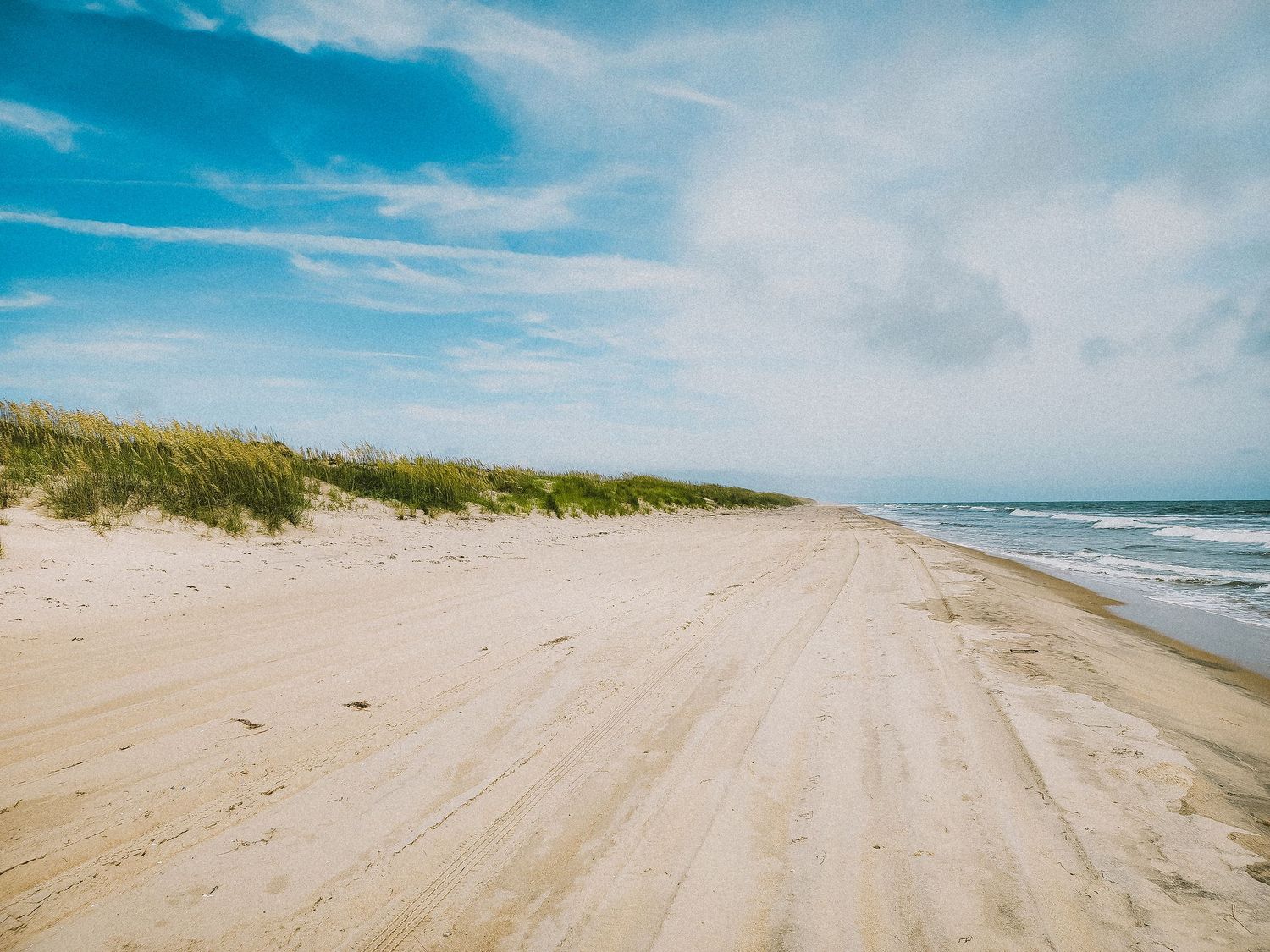 Empty sandy beach stretches along the ocean with dunes and blue sky on a sunny day.
