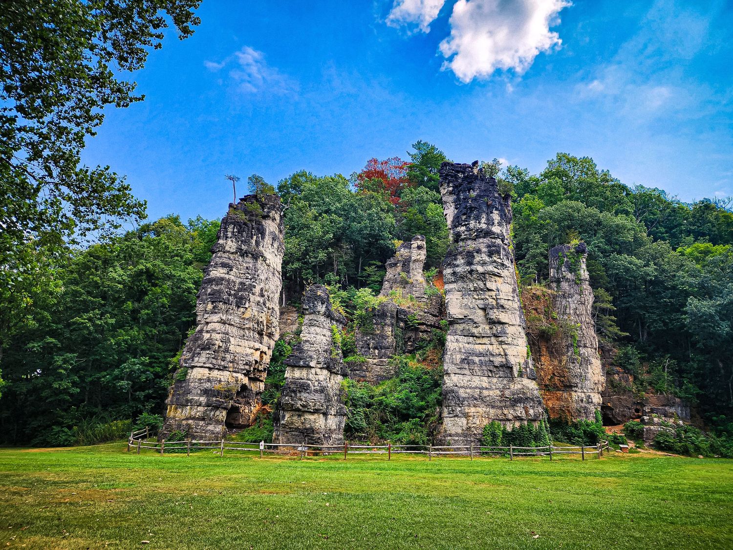 Ancient stone pillars rise from grassy field surrounded by lush forest.