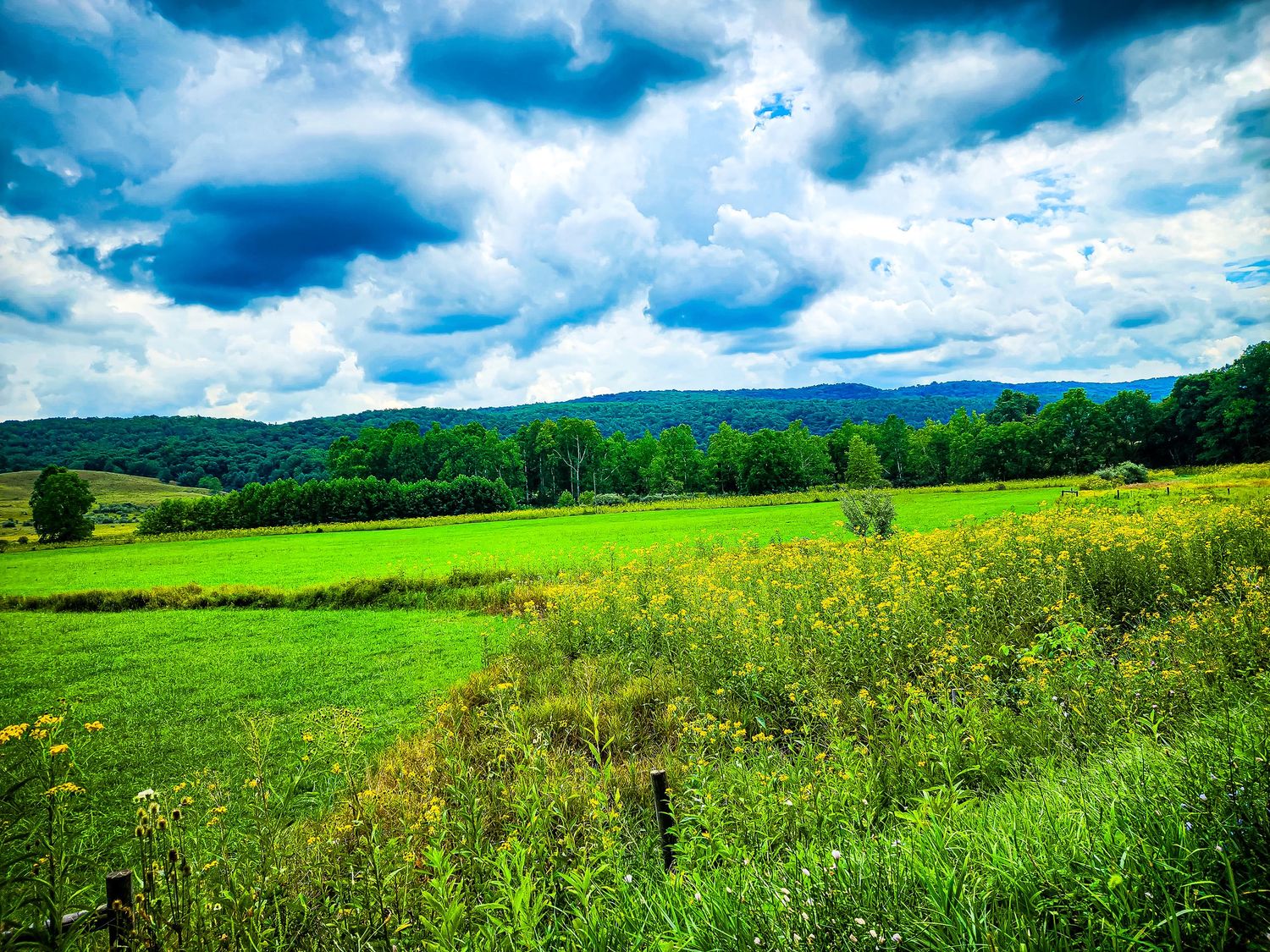 Rolling green hills and wildflower meadows stretch toward distant mountains under dramatic sky.