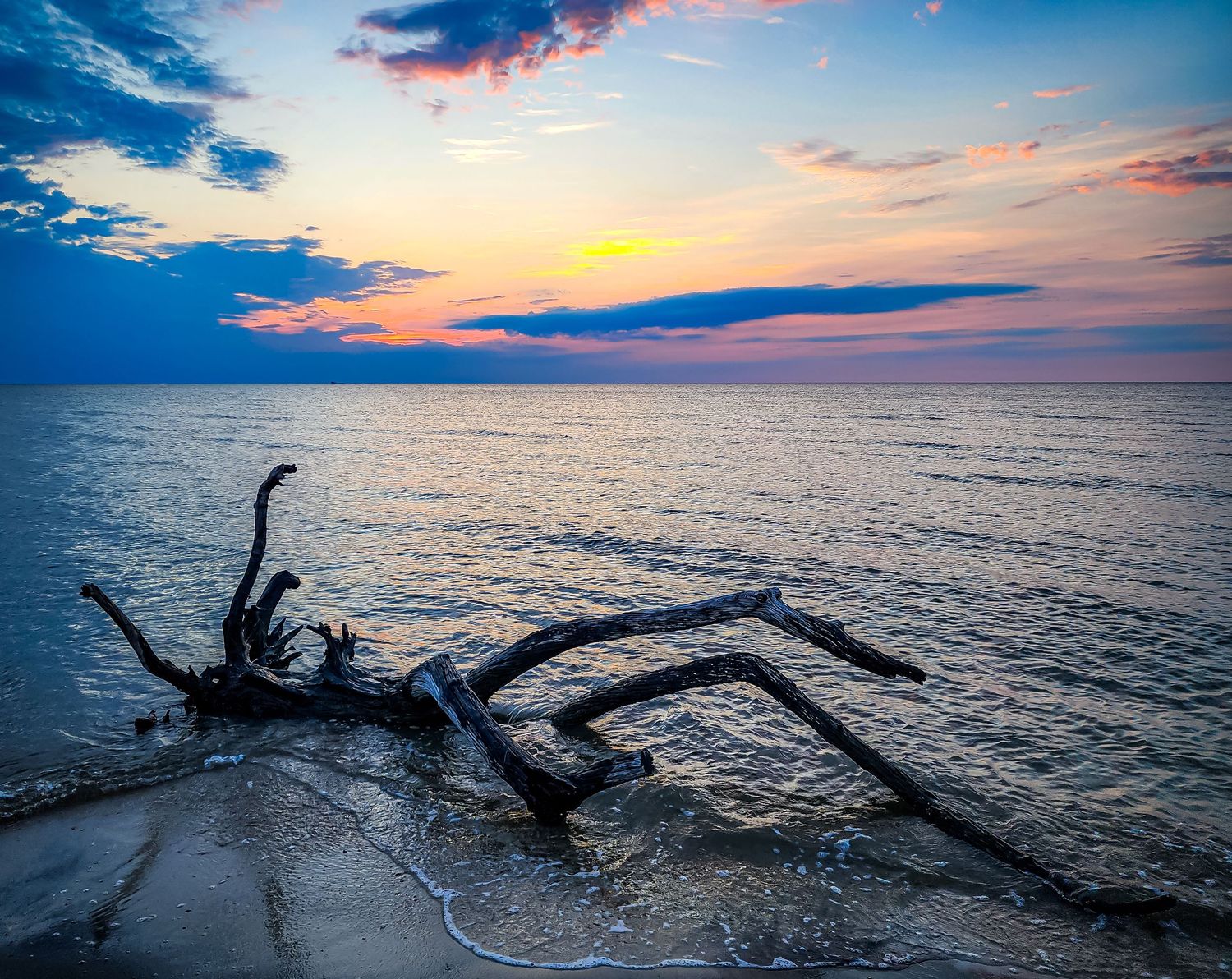 Weathered driftwood on beach shore during colorful sunset over calm ocean waters.