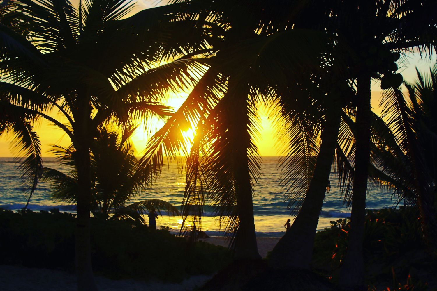 Golden sunlight filters through palm trees silhouetted against tropical beach sunset.