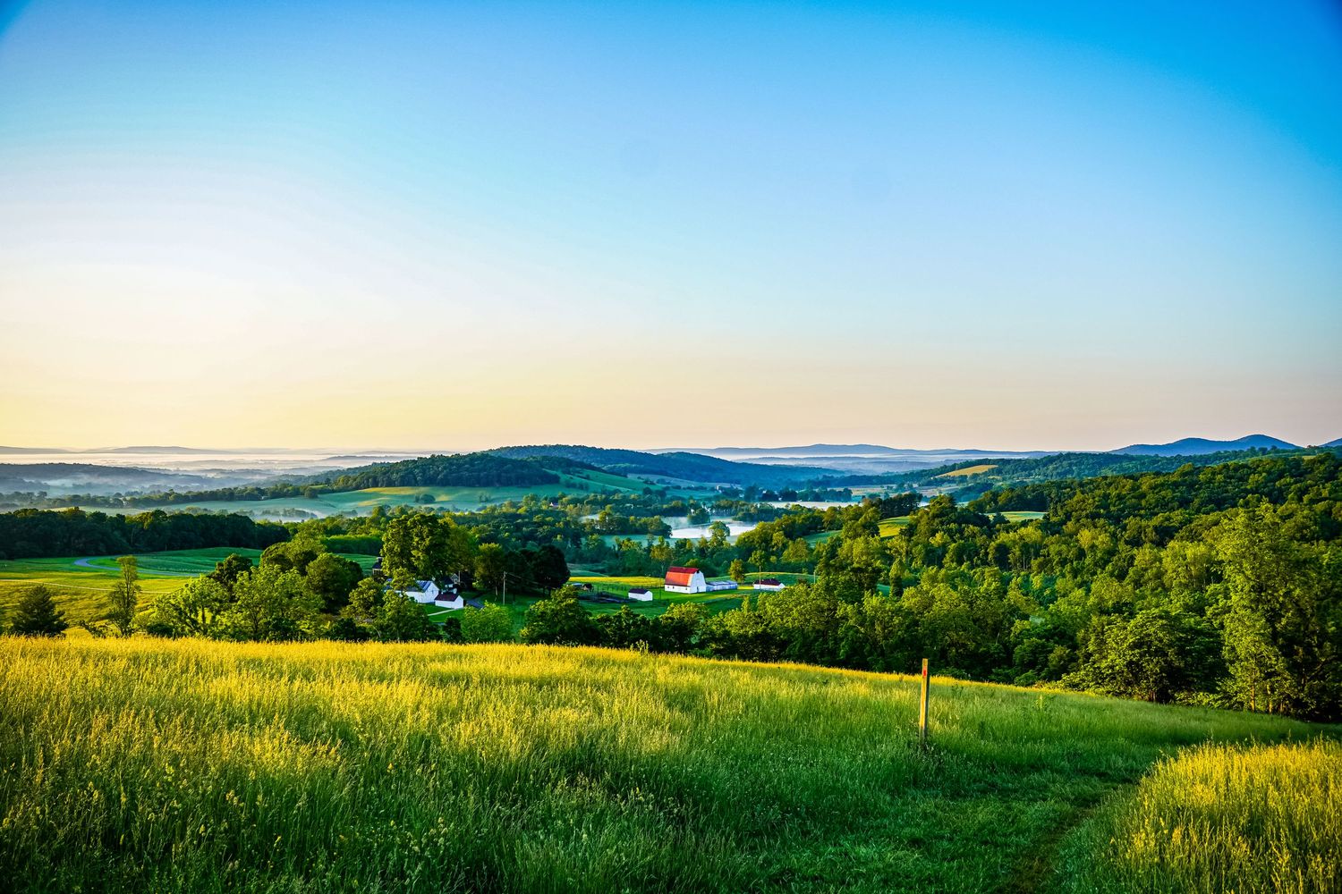 Rolling green hills with scattered farm buildings and morning mist in the distant valley.