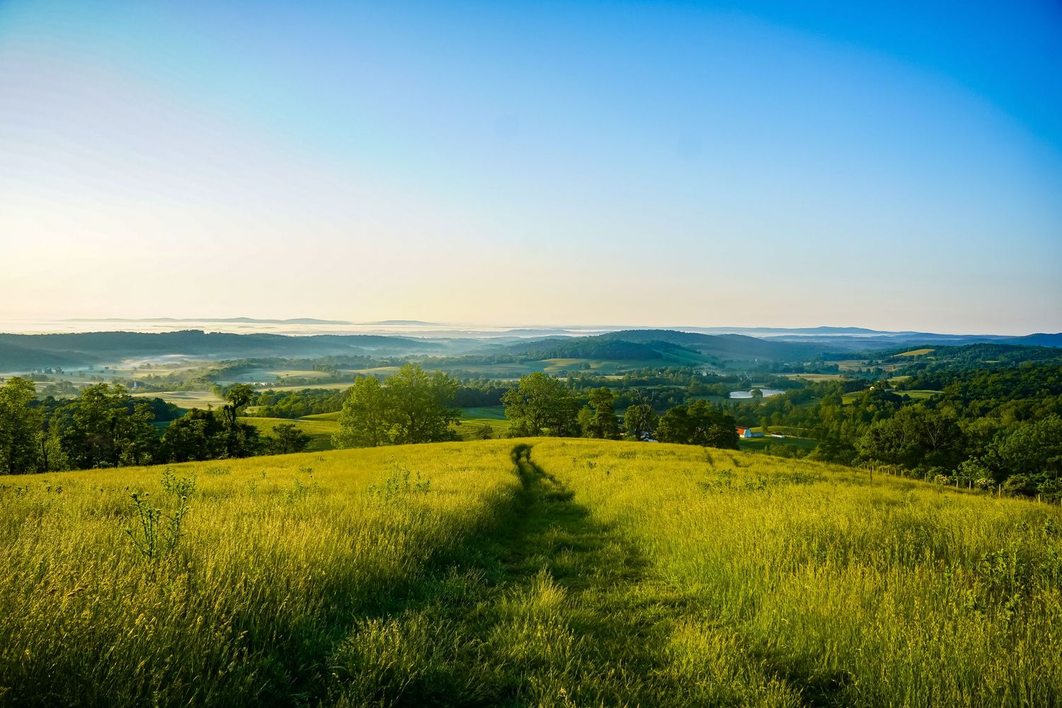 Expansive green meadow with mowed path leading toward distant hills under blue summer sky.