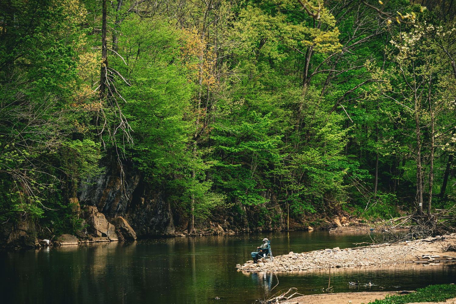 A scenic river bend surrounded by lush green forest with a small sandy beach and rocky shoreline in summer.