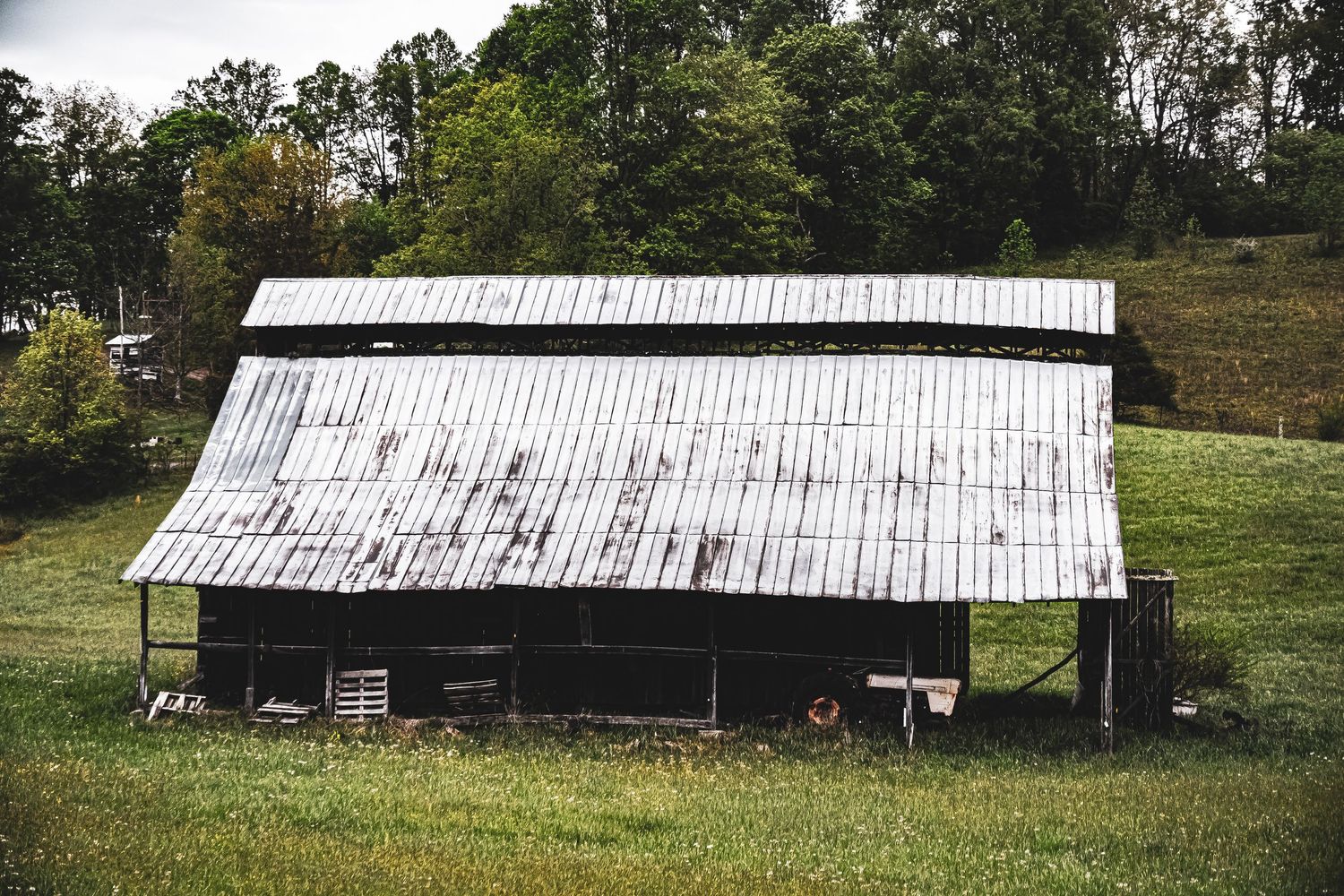 An old white wooden barn with a weathered metal roof stands in a grassy field surrounded by trees.