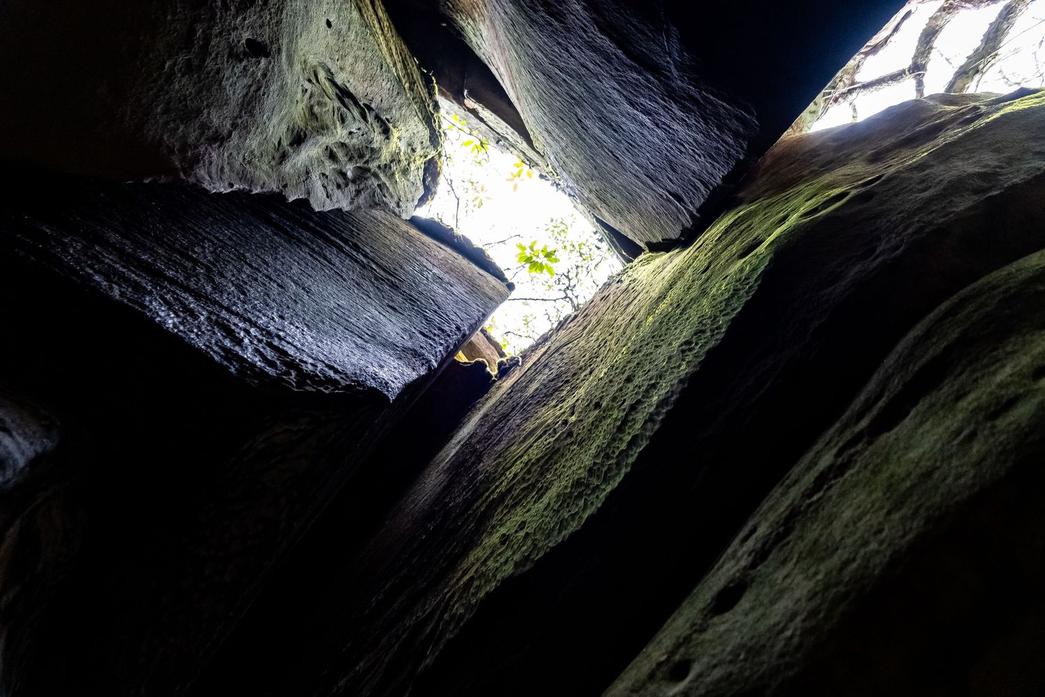 Sunlight streams through multiple openings in a dark rocky cave ceiling creating dramatic natural lighting effects.