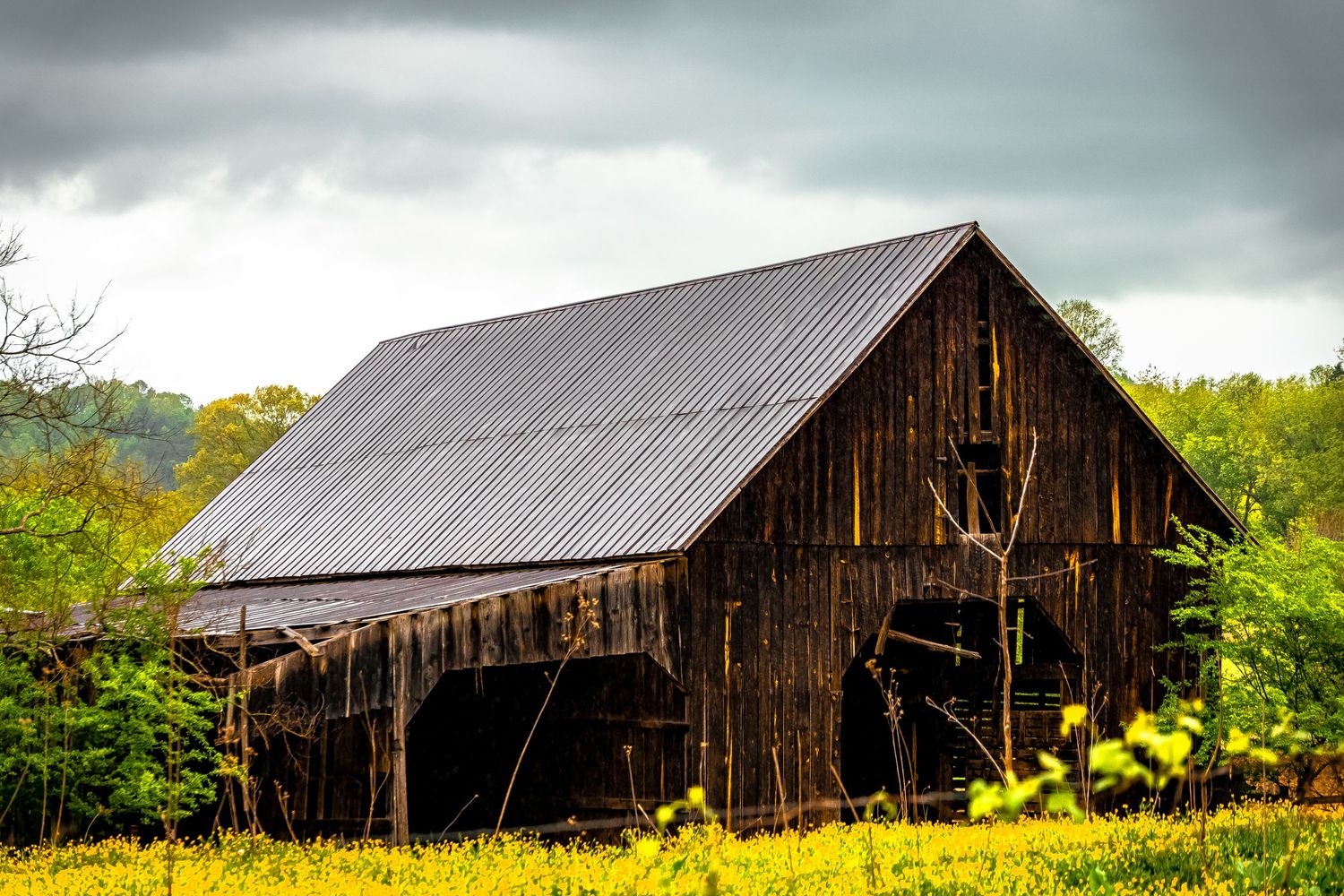 A panoramic view of weathered wooden barns with rustic metal roofs standing in a rural field under moody storm clouds.