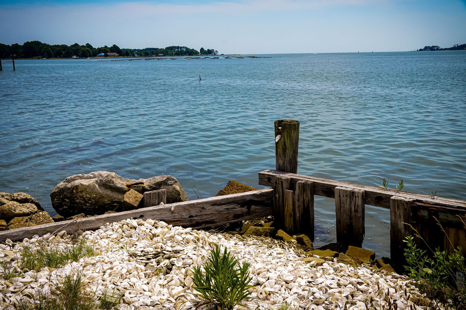 A weathered wooden dock post stands among rocks on the shoreline of a serene bay.