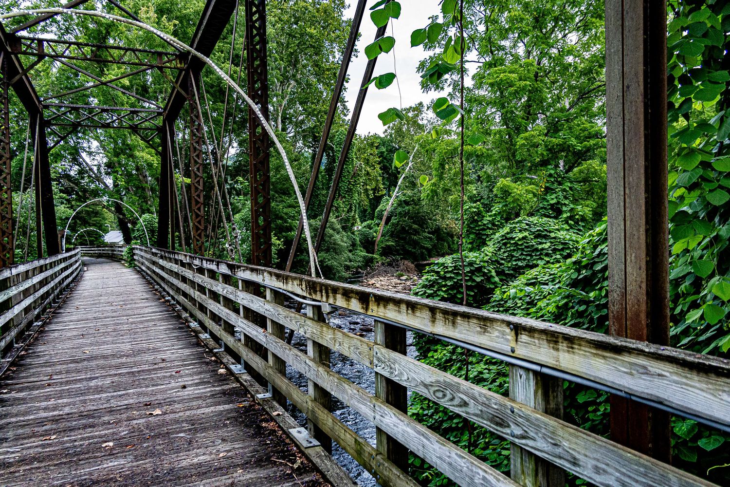 A long wooden boardwalk path extends through lush green forest with tall trees on both sides.