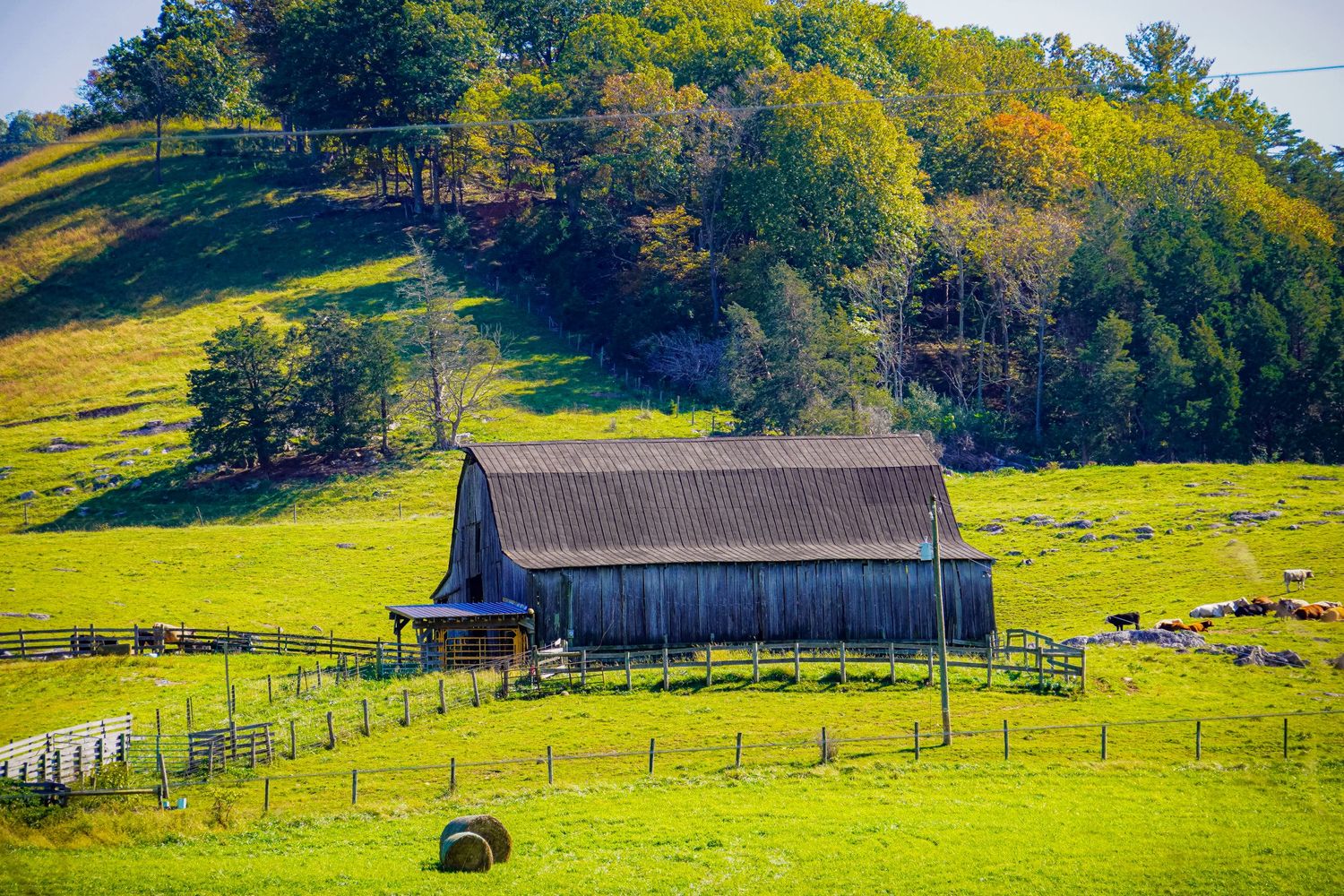Rustic wooden barn sits on green hillside pasture surrounded by fence and trees.