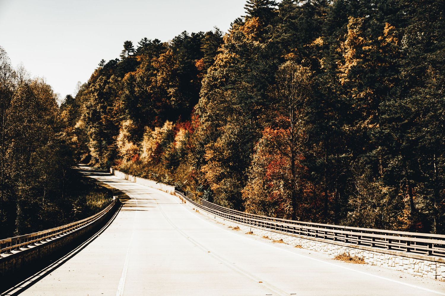 Winding autumn road with white guardrails through golden-colored forest.