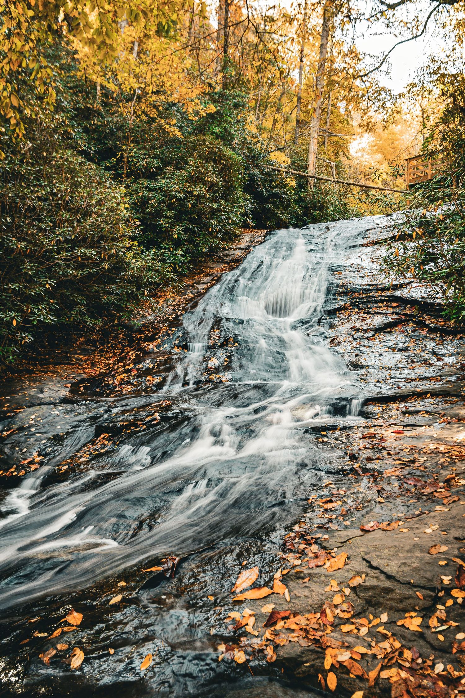 Cascading waterfall surrounded by autumn foliage with golden leaves scattered on rocky surface.