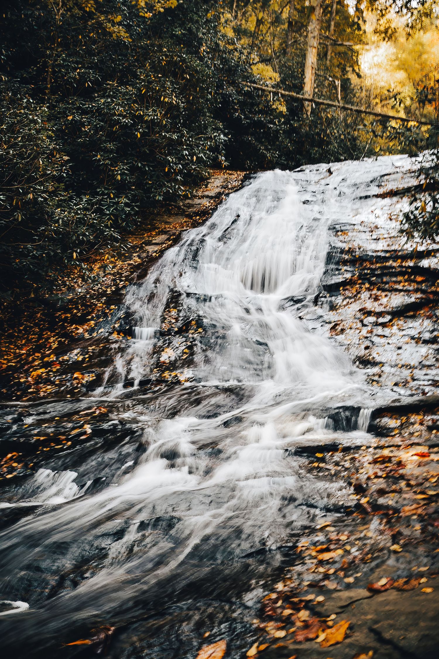 Rushing waterfall cascading down rocky slope with fallen autumn leaves scattered along the edges.