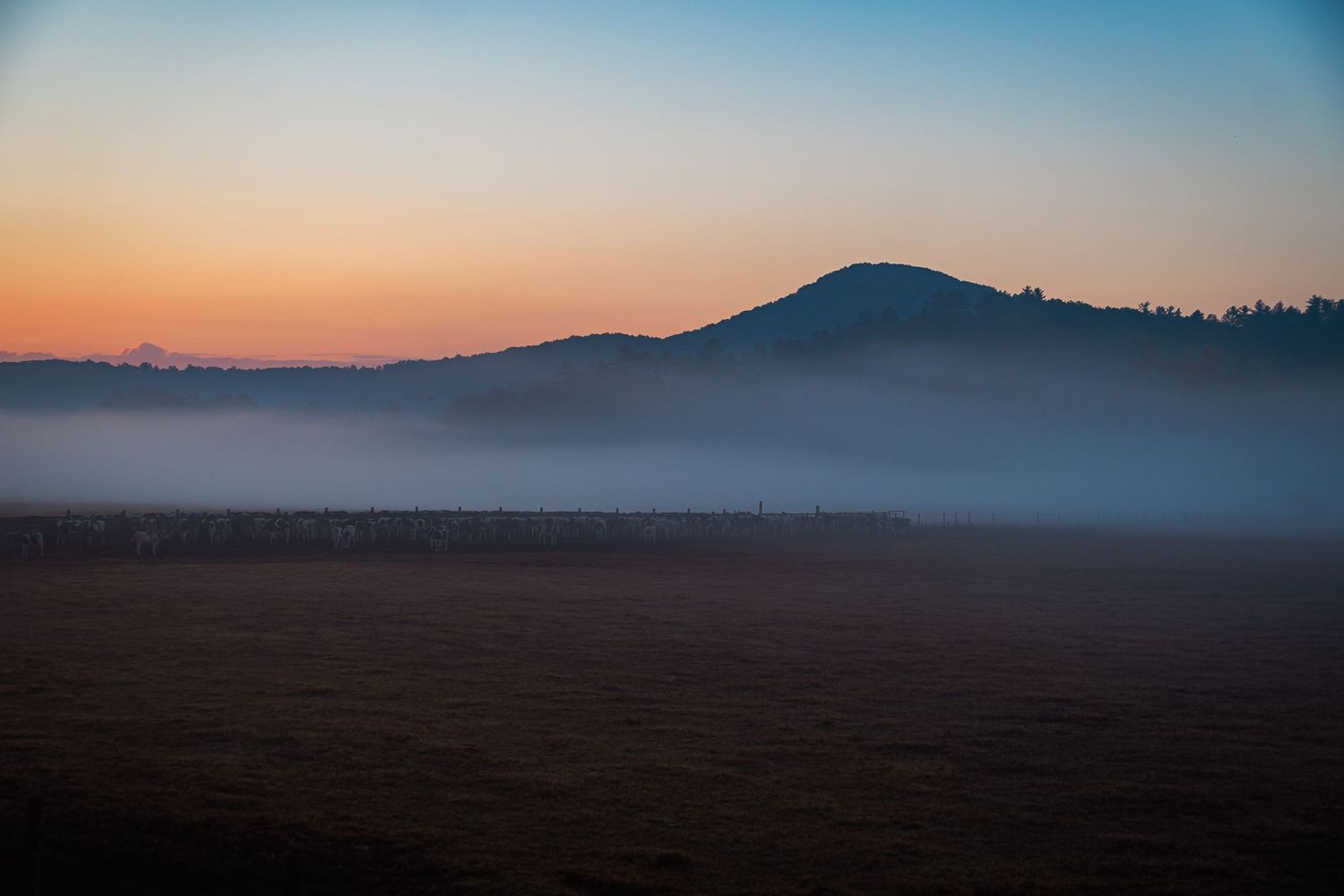 Mountain silhouette at dawn with low-lying fog across dark field.