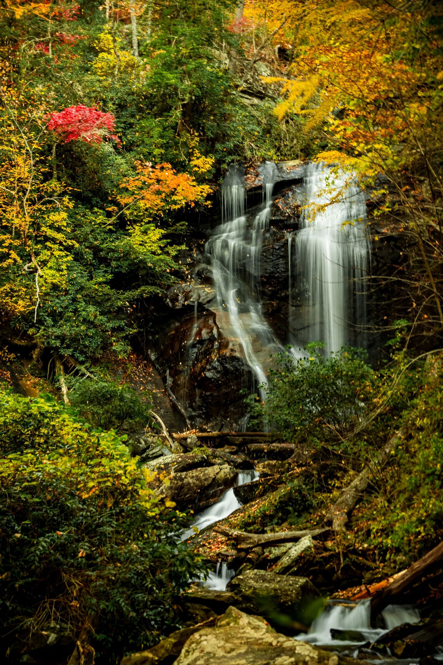 Majestic waterfall flowing through vibrant autumn forest with red maple accent.