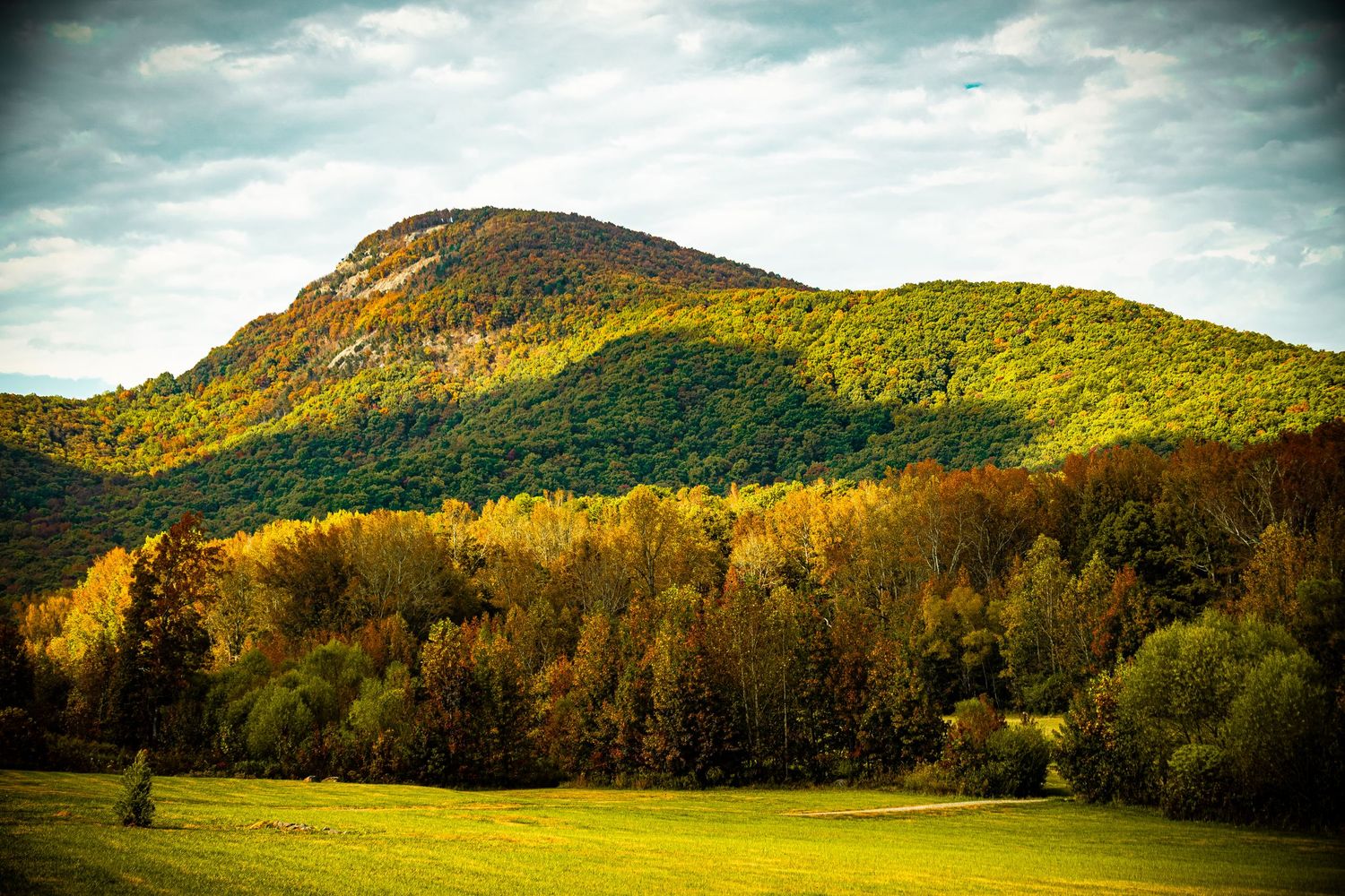 Rolling green mountain landscape with autumn trees in the foreground under dramatic cloudy skies.