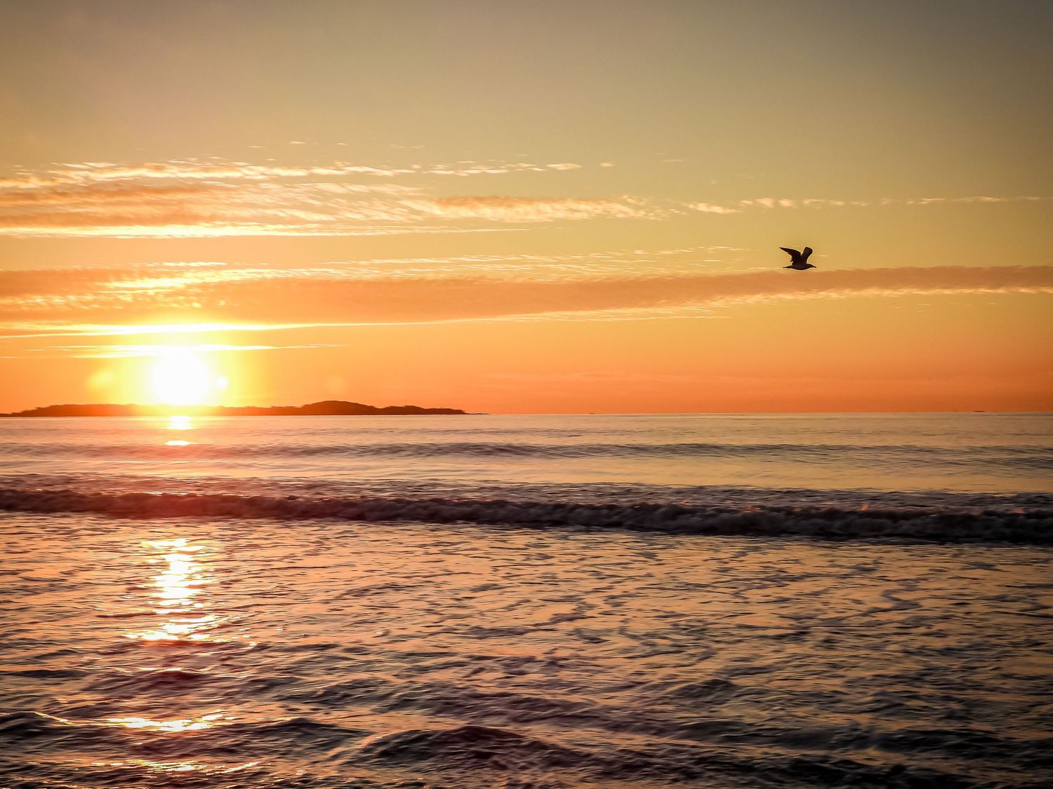 A bird soars over ocean waves during a vibrant orange sunset with sunlight reflecting on the rippling water.