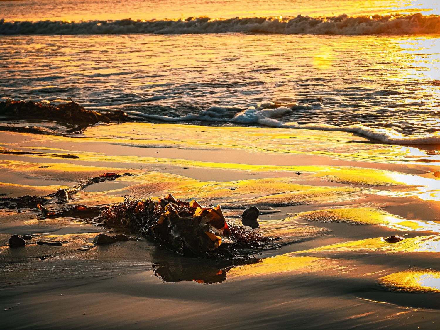 Golden sunset over beach with waves washing onto sandy shore creating reflective patterns in orange light.