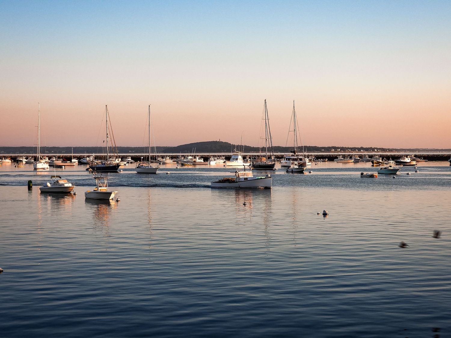Sailboats anchored in a calm harbor at sunset with tranquil water reflecting the warm evening light.