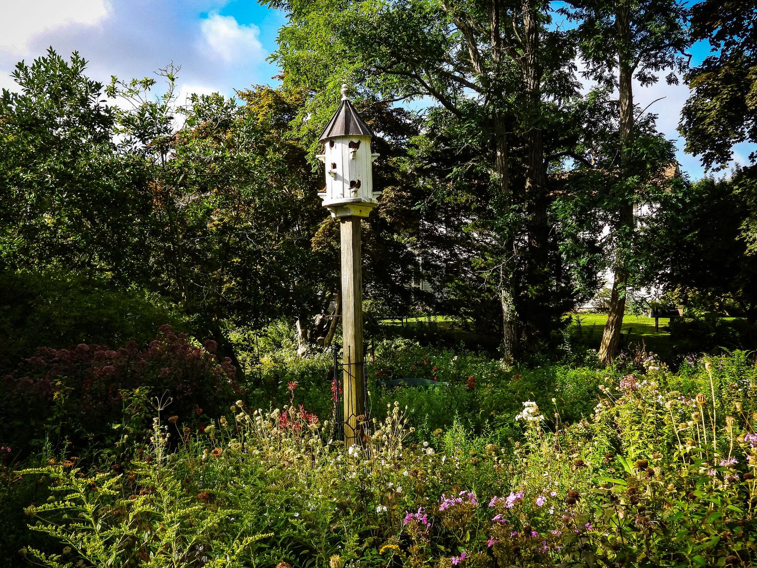 A white birdhouse stands tall on a wooden post surrounded by a lush summer garden with wildflowers and greenery.