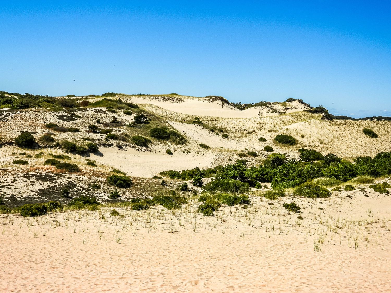 A scenic panoramic view of sand dunes and coastal vegetation stretches along the shoreline under bright blue skies.