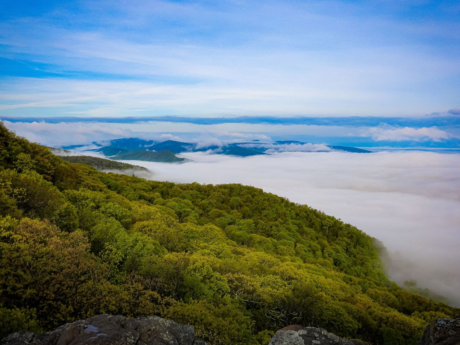 Rolling green mountains emerge from a sea of clouds under bright blue skies.