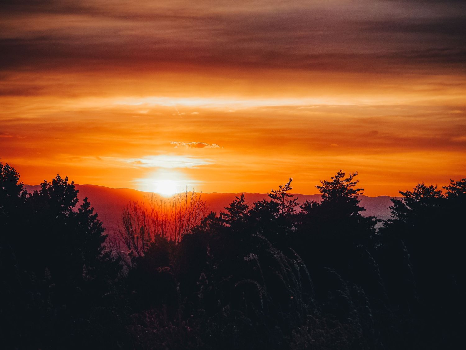 Vibrant orange sunset over dark forest silhouettes with glowing sky and clouds.
