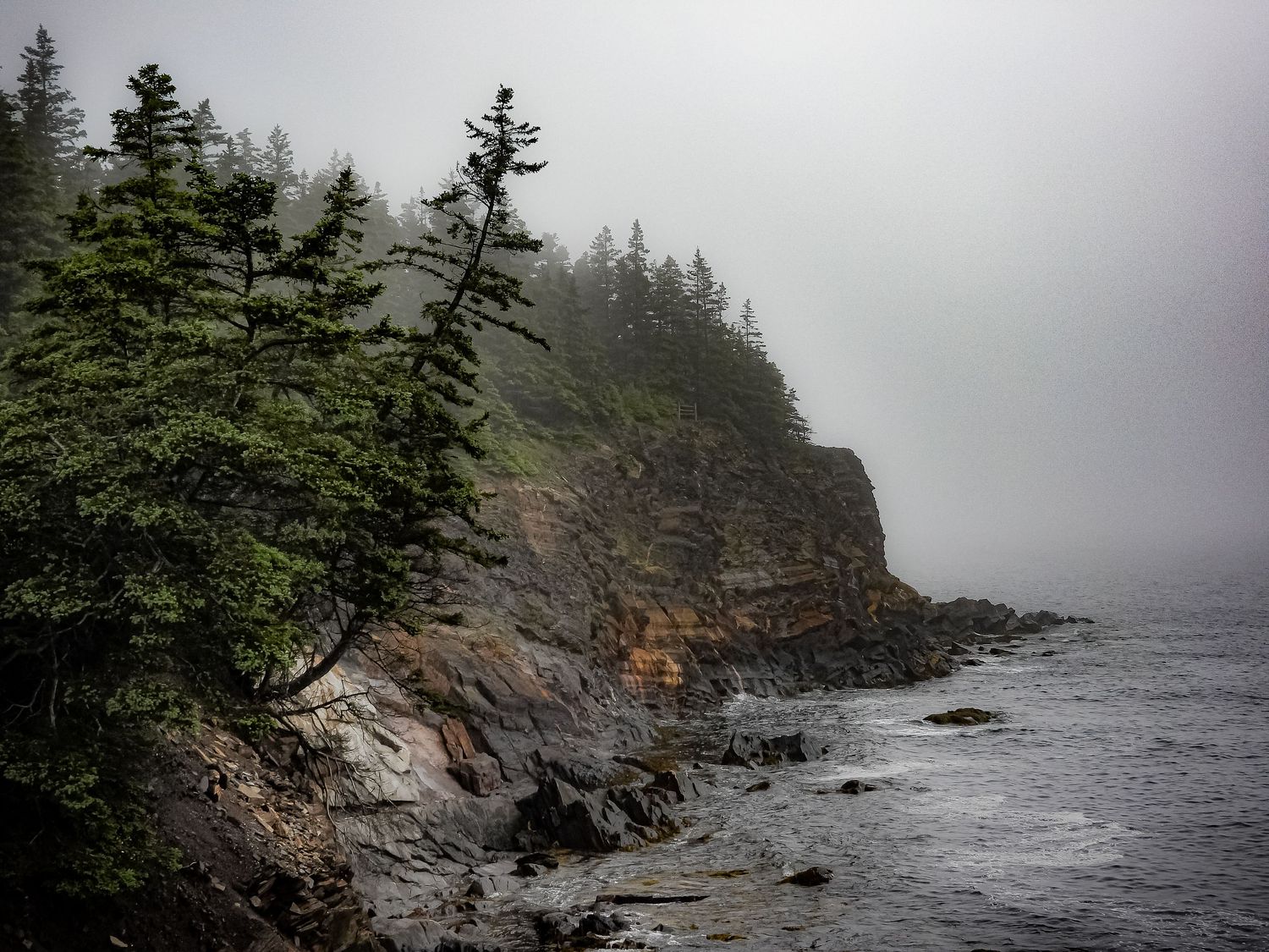Foggy rocky coastline with evergreen trees perched on cliff edge above turbulent ocean waters.