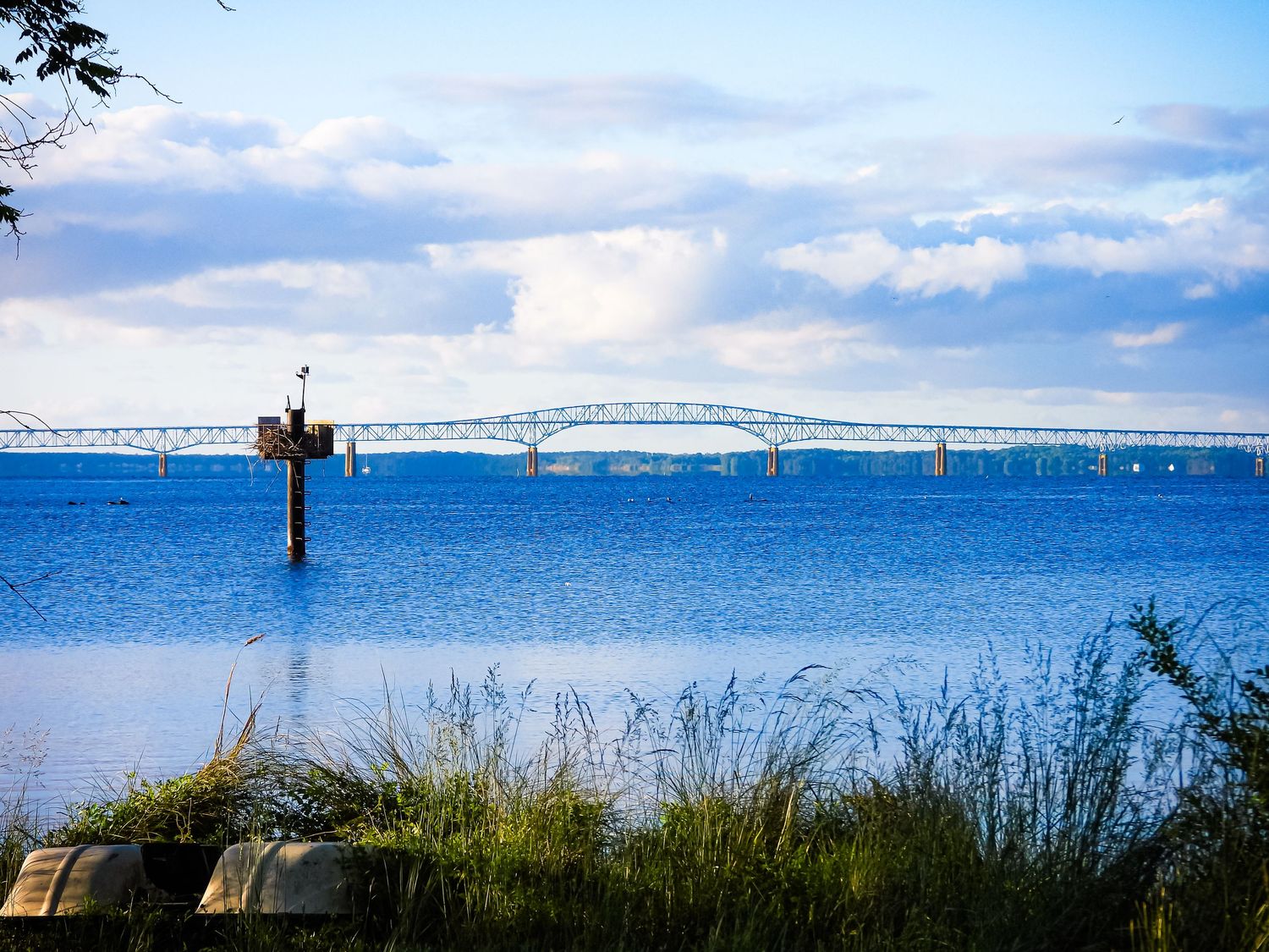 Long bridge spans across blue waters with navigation marker and coastal grasses in foreground.
