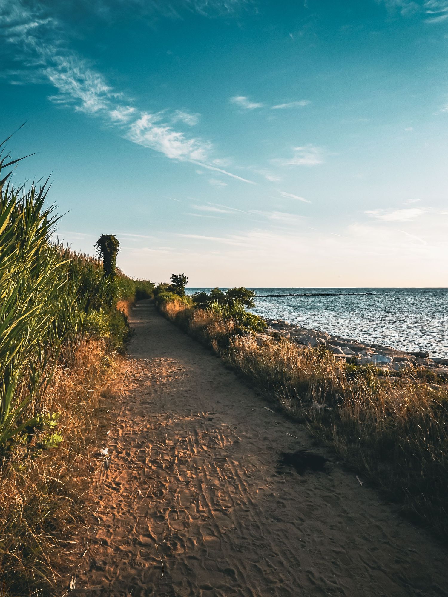 Winding coastal trail through beach grass leads to ocean view under bright blue sky.