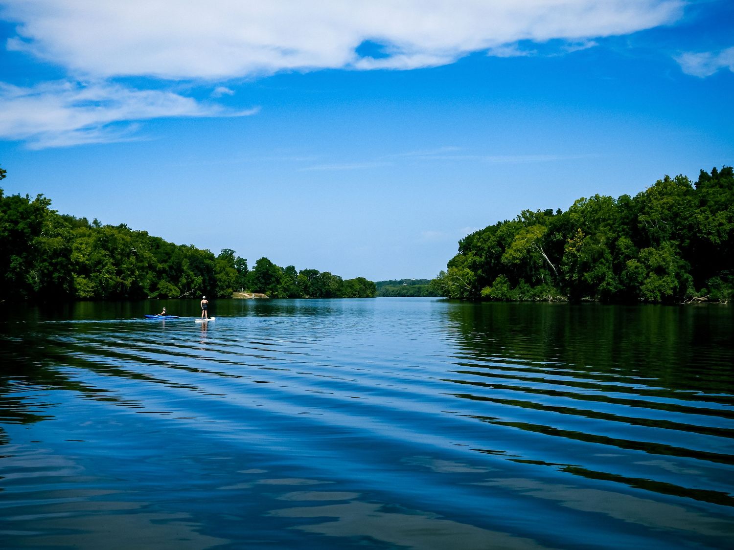 Serene blue lake surrounded by dense green forest with gentle ripples on water.