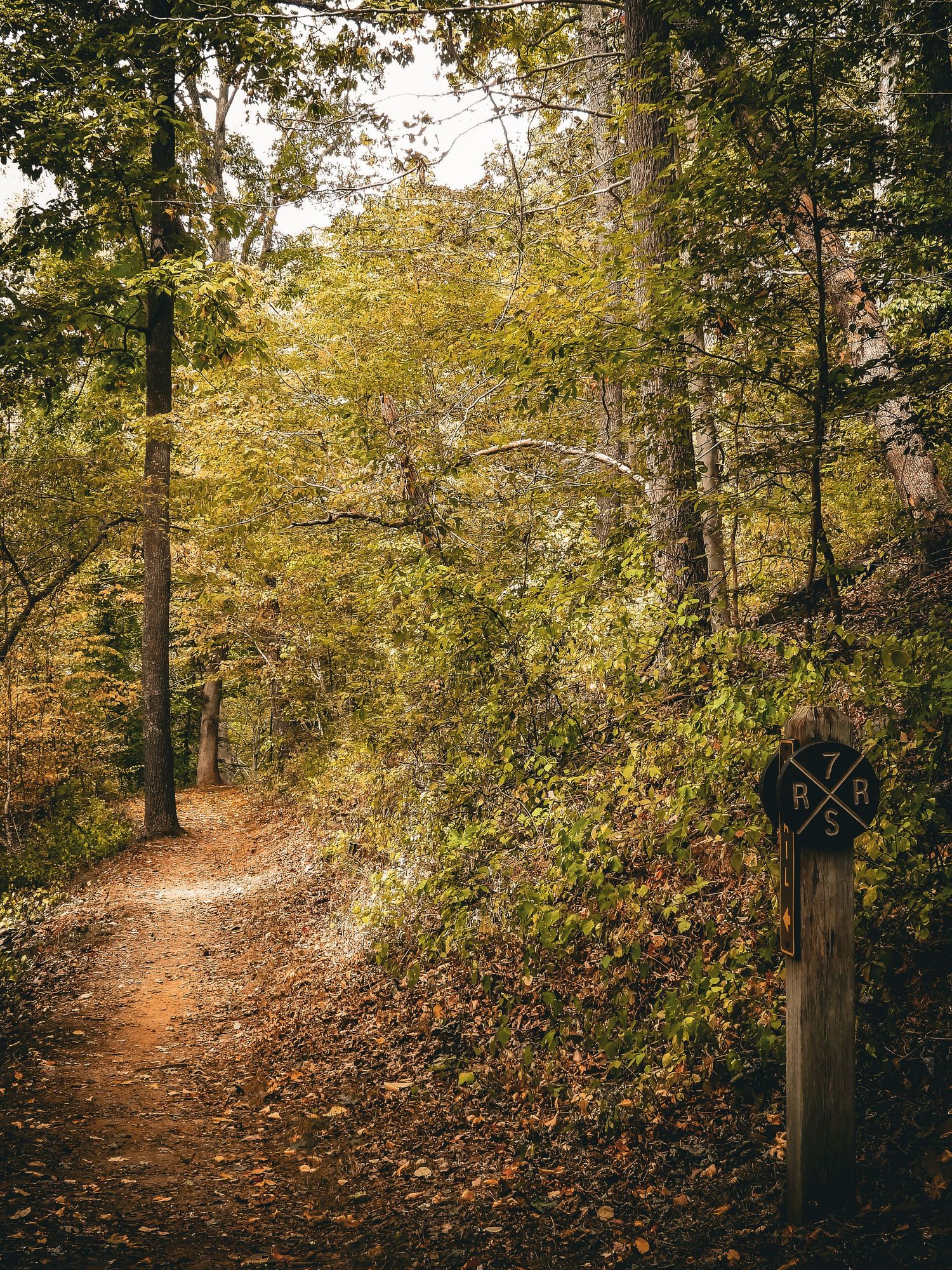 A winding dirt trail through autumn forest with a wooden trail marker post.