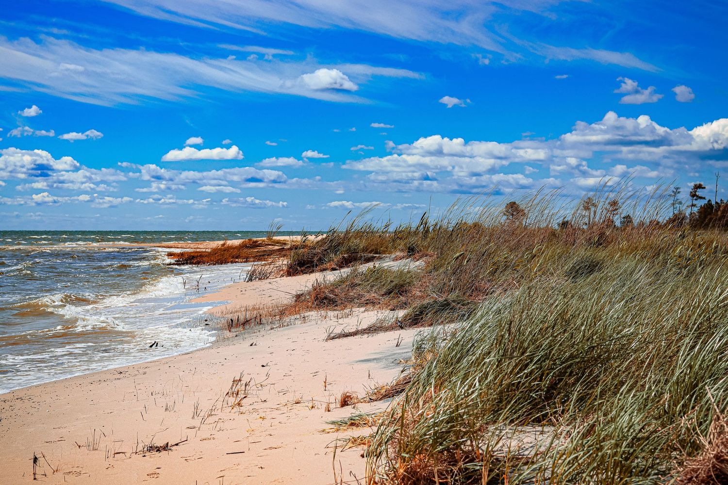 Coastal beach landscape with sea grass, rolling dunes and turquoise waters under blue skies.