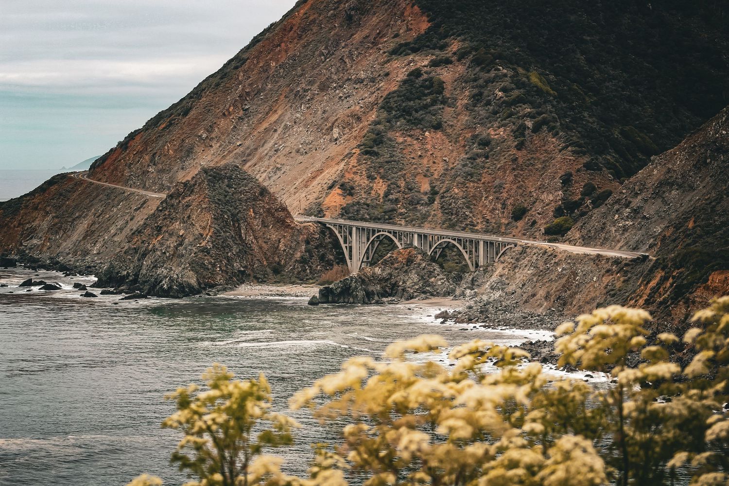 Bixby Bridge stretches across rugged coastal cliffs with yellow wildflowers in foreground.