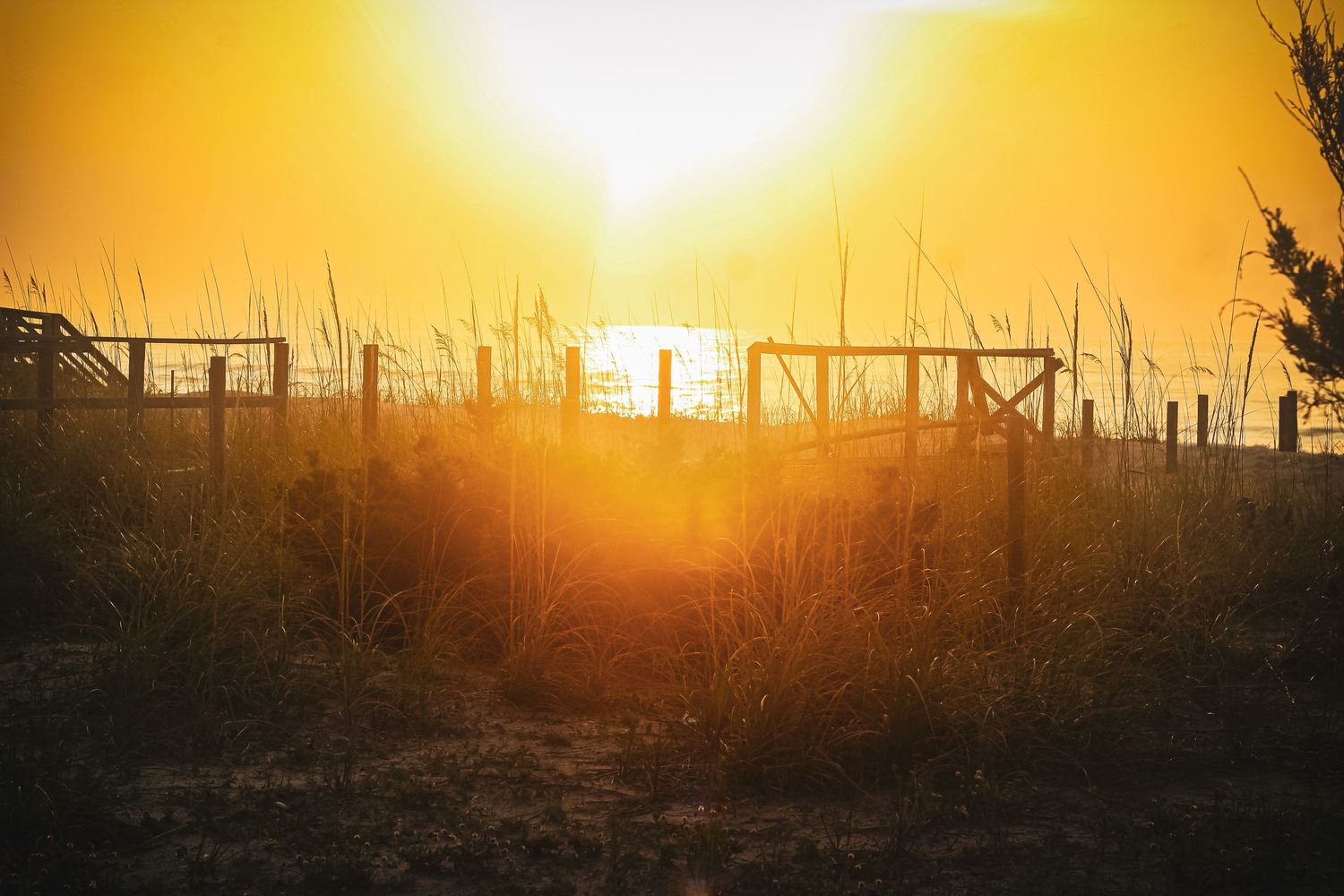 Golden sunset silhouettes a fence line and tall grass in a rural setting.