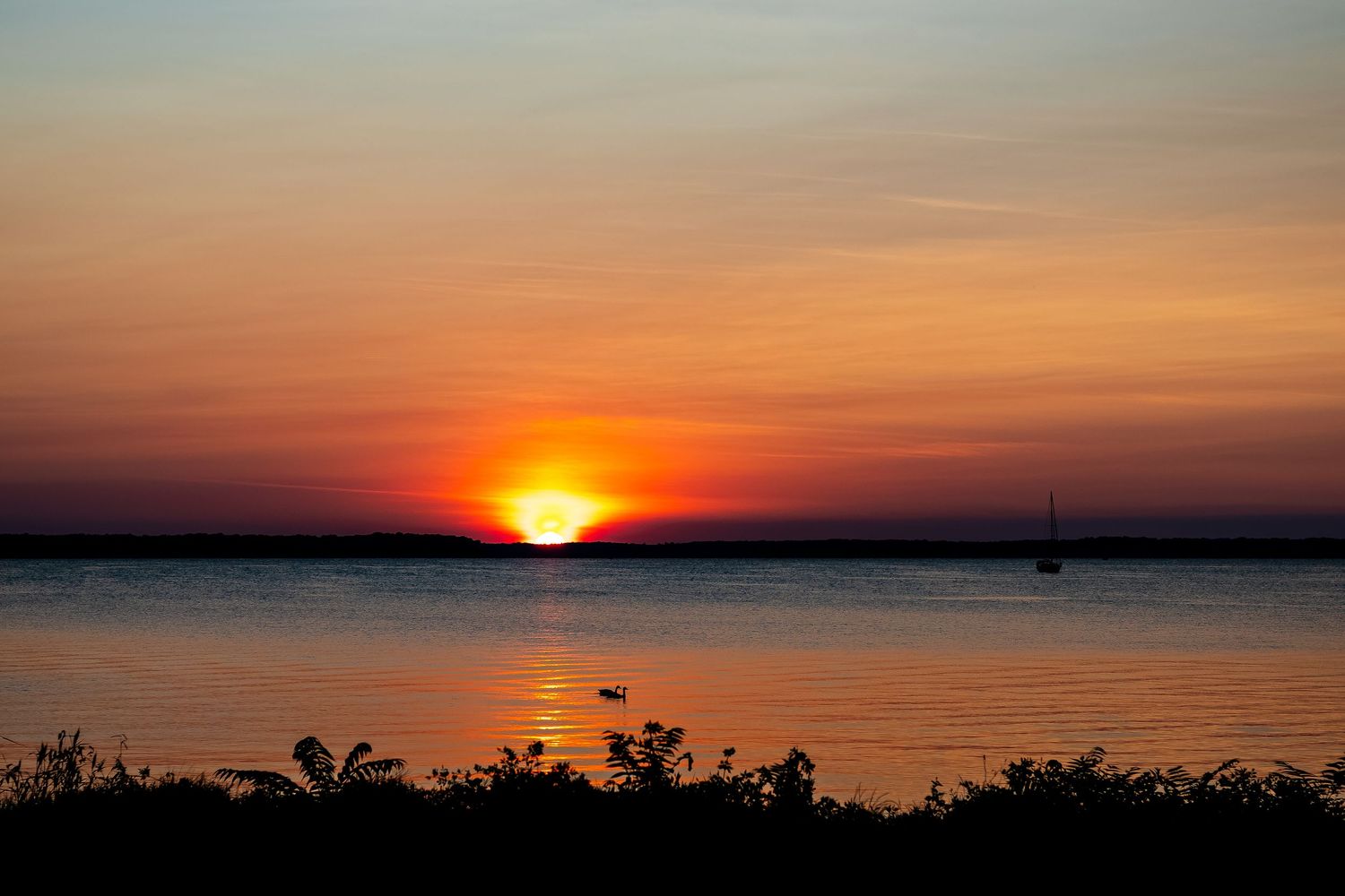 A collection of stunning sunset scenes over water with vibrant orange and purple skies reflecting on calm seas.