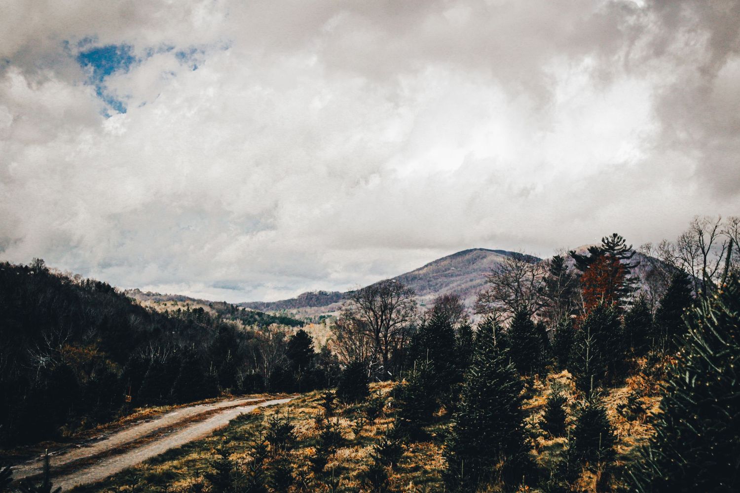 Mountain road winding through autumn forest under dramatic cloudy skies.